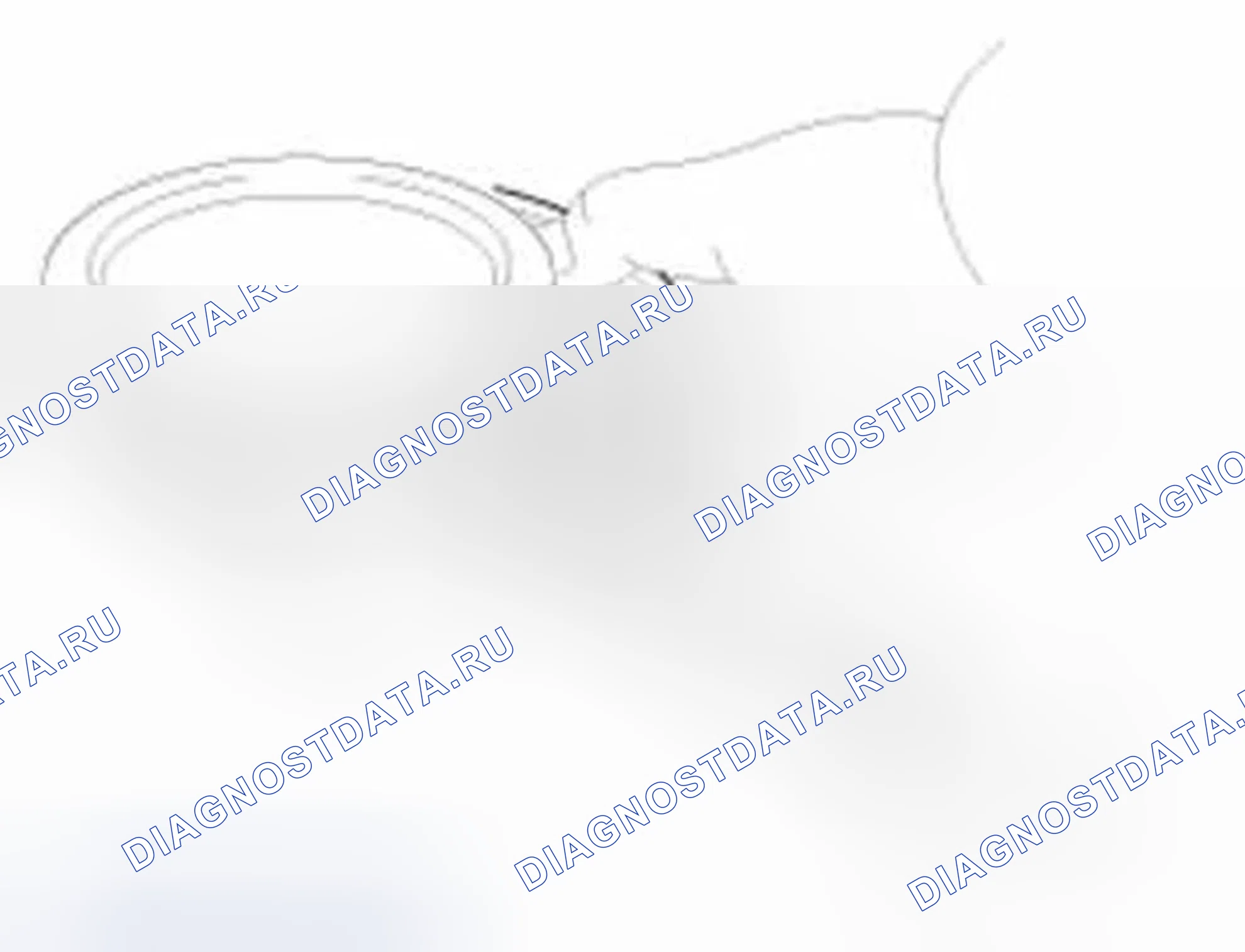 Рис. 261: Поршневые и поршневые кольца. Hyundai Elantra V