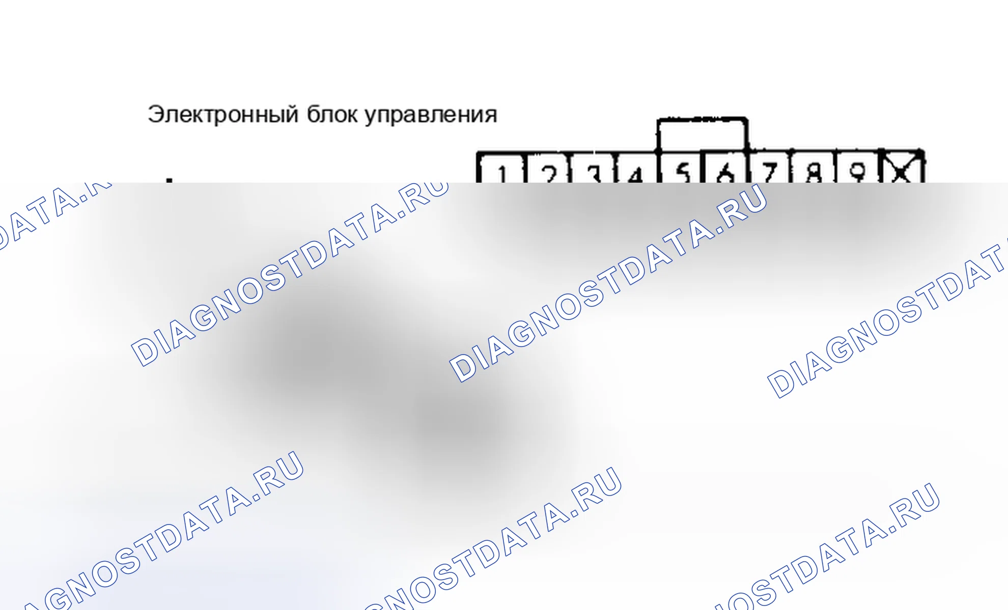 Рис. 2. Nissan Maxima U11