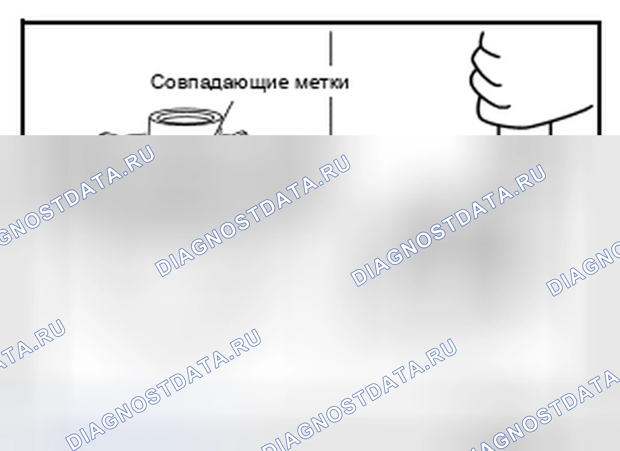 Рис. 447. Infiniti G25 IV рестайлинг