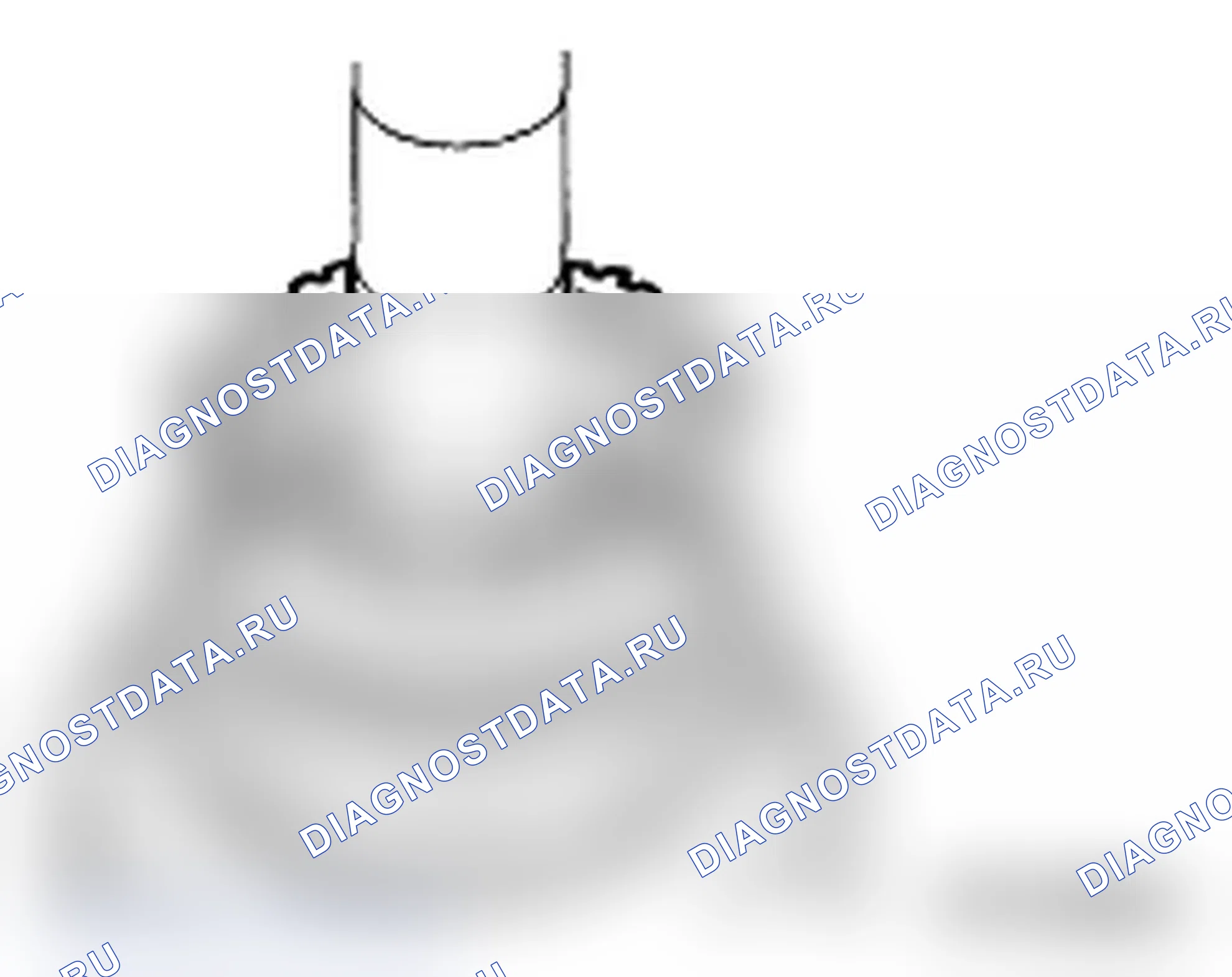 Рис. 371. Subaru Impreza WRX GD/GG рестайлинг 2