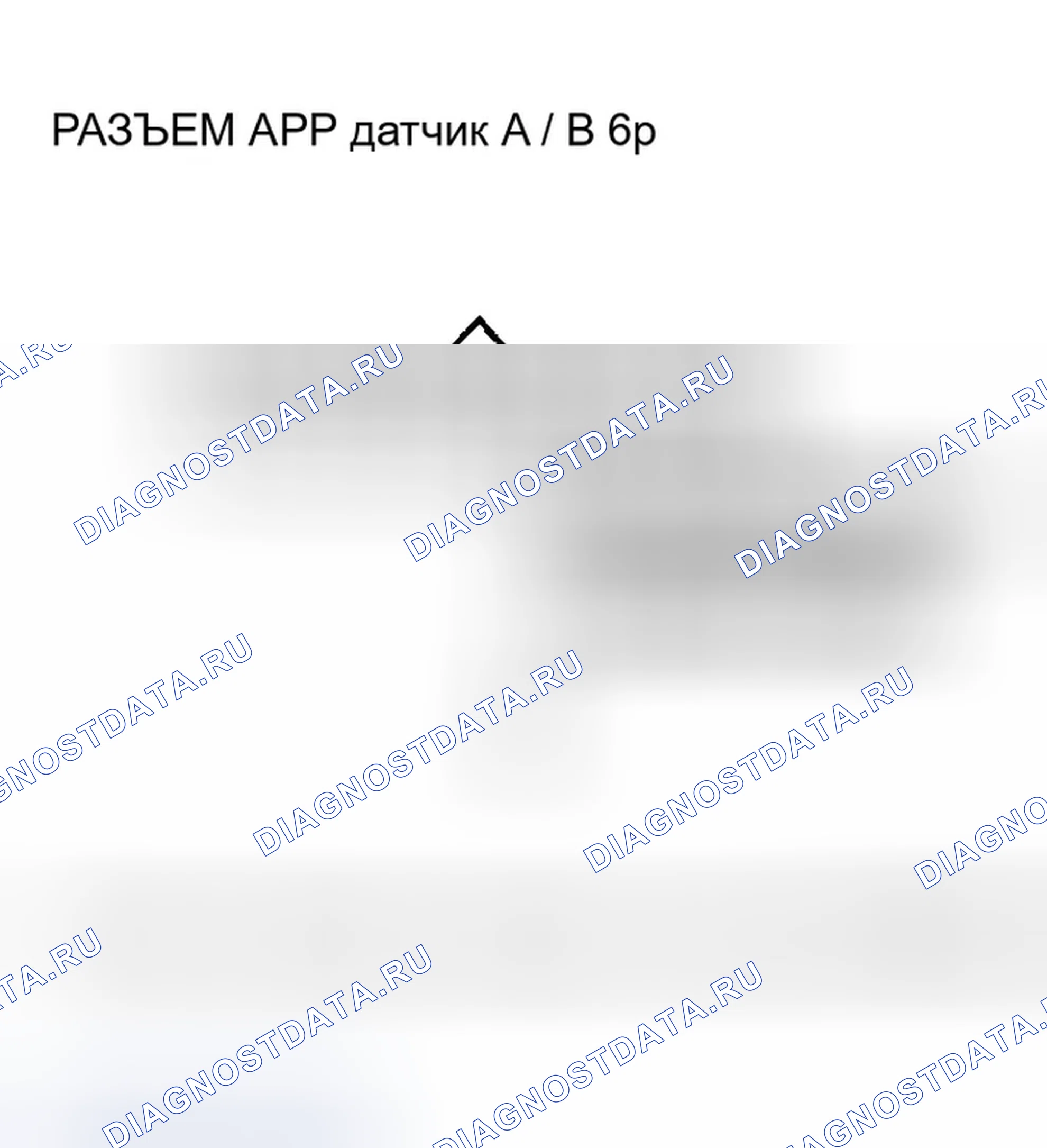 Рис. 240. Honda Accord VII рестайлинг