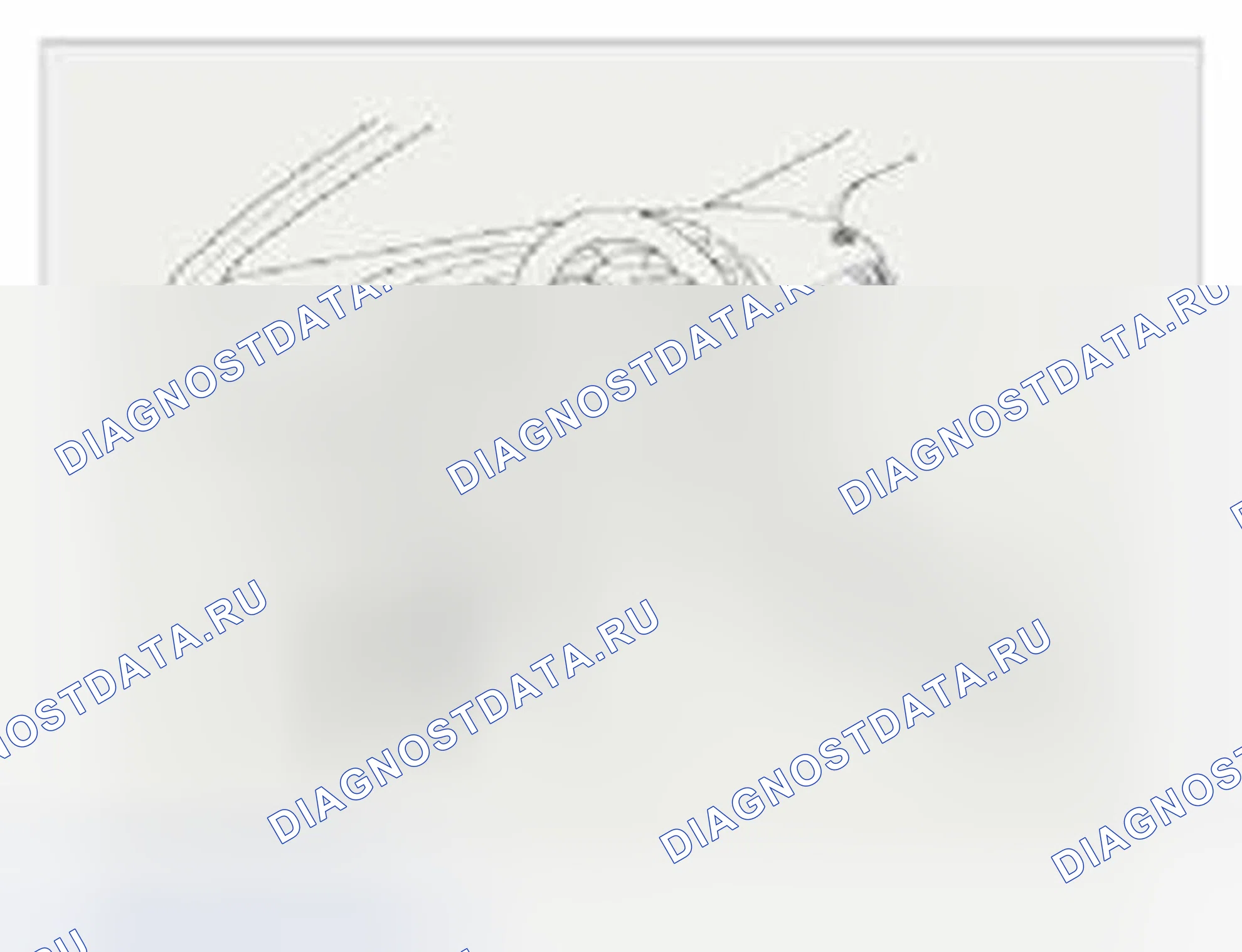 Рис. 28: Сохранение кода смарт-ключа. Hyundai Veloster I