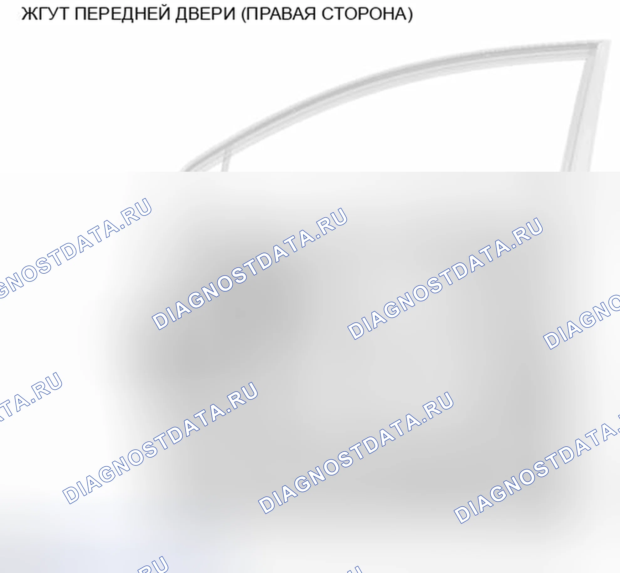 Рис. 53: ЖГУТ ПЕРЕДНЕЙ ДВЕРИ (ПРАВАЯ СТОРОНА). Nissan Murano Z51 рестайлинг 2
