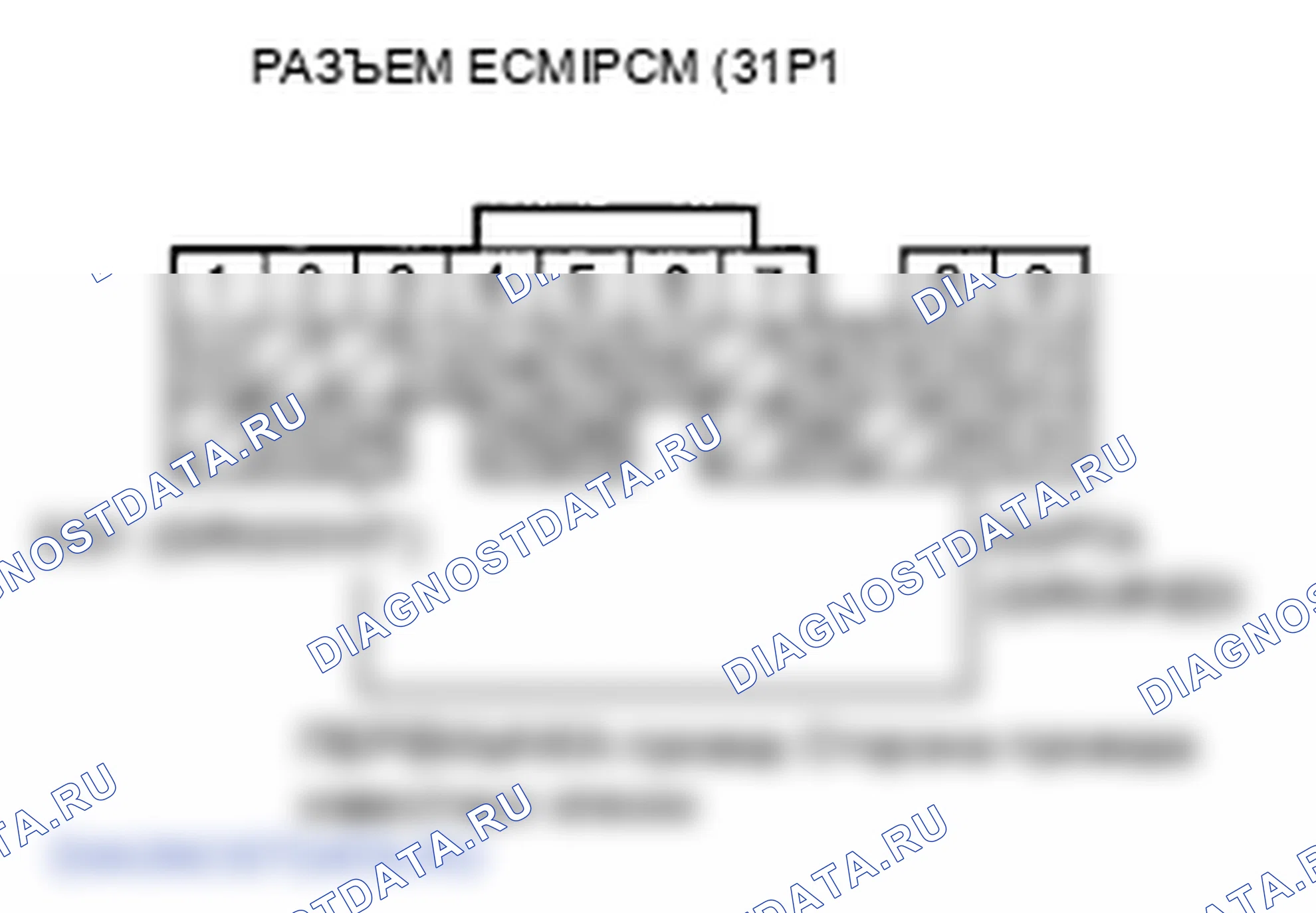 Рис. 373. Honda Element YH2 рестайлинг 2