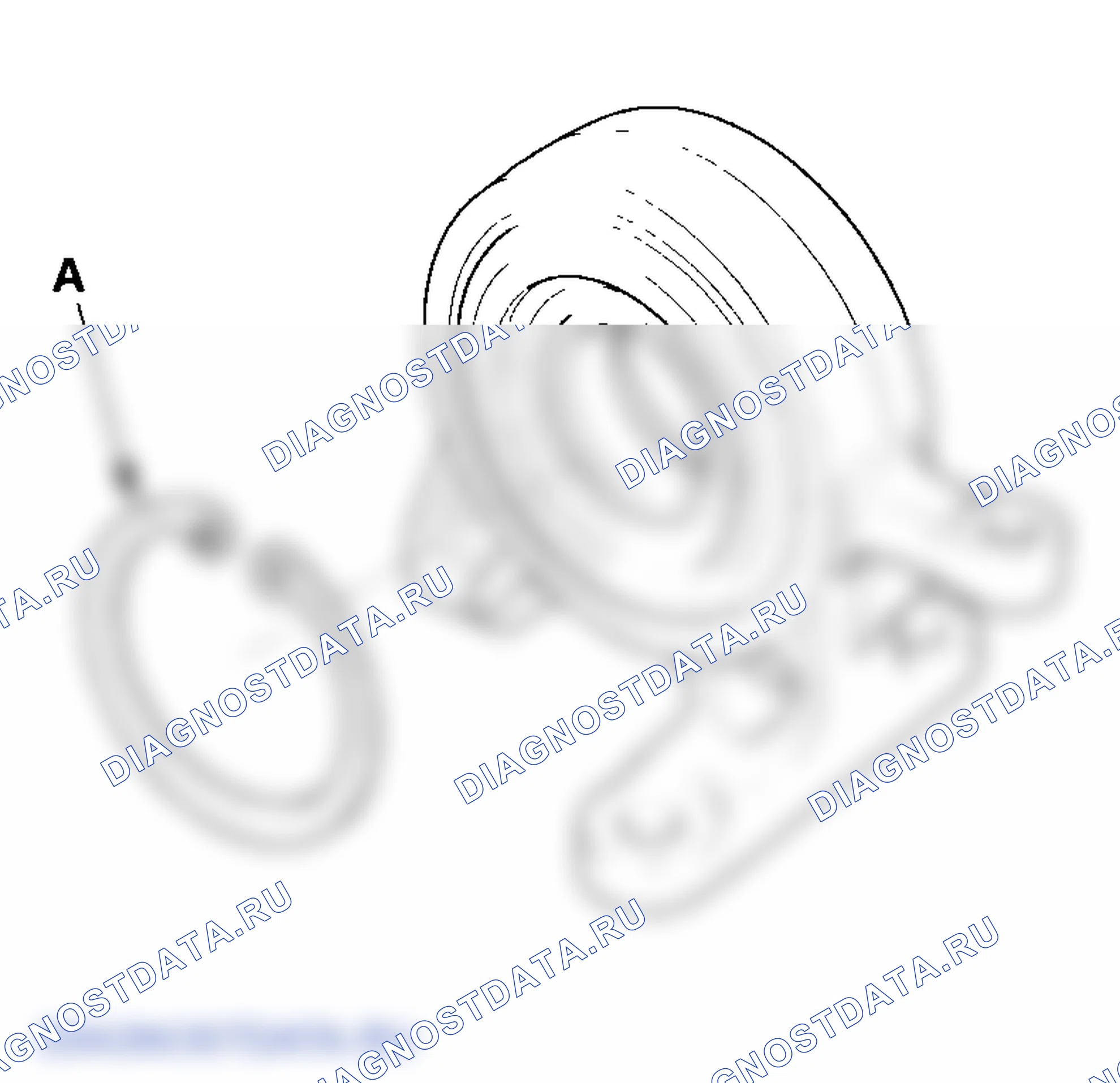 Рис. 81. Honda Element YH2