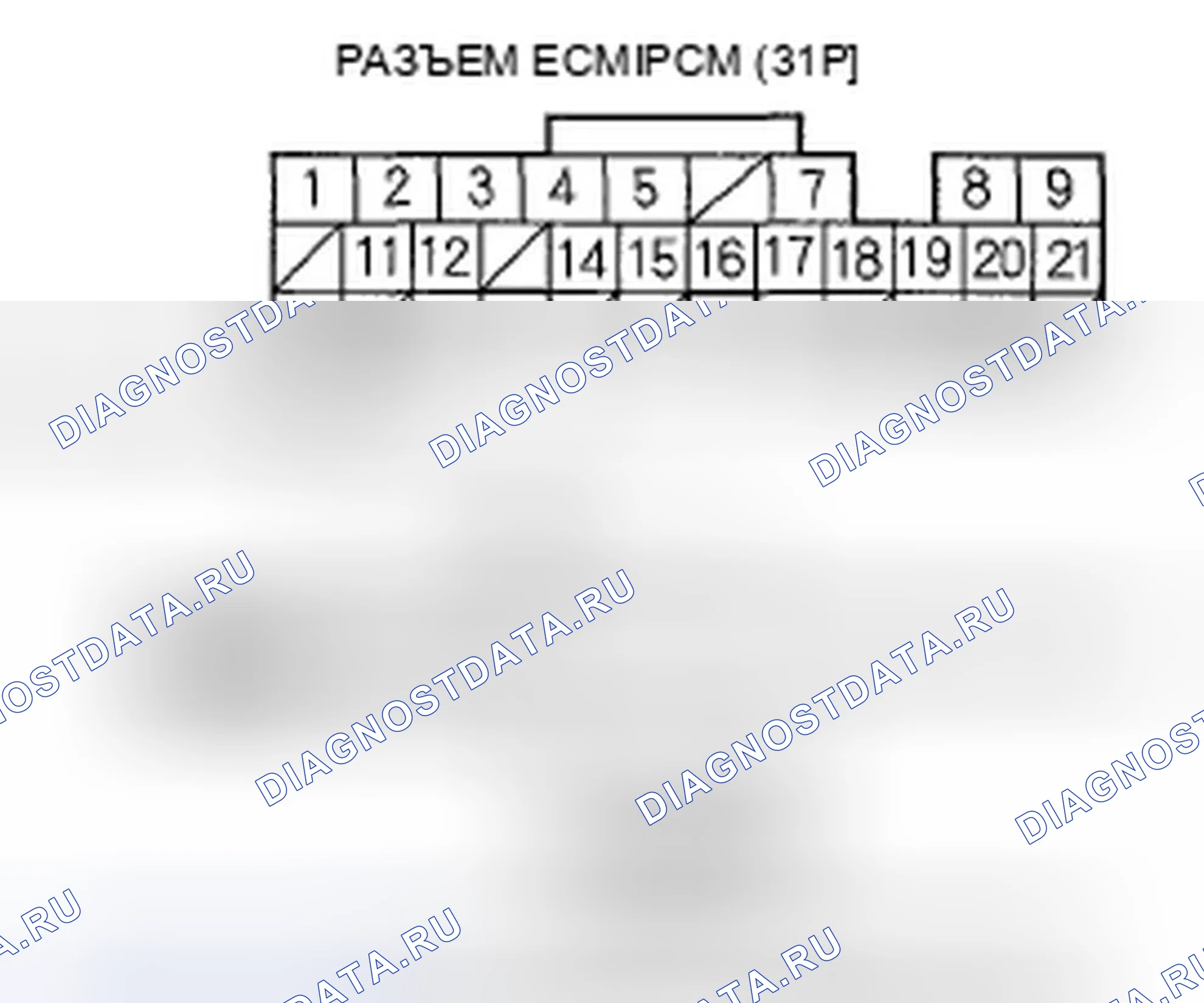 Рис. 10. Honda Element YH2 рестайлинг 2