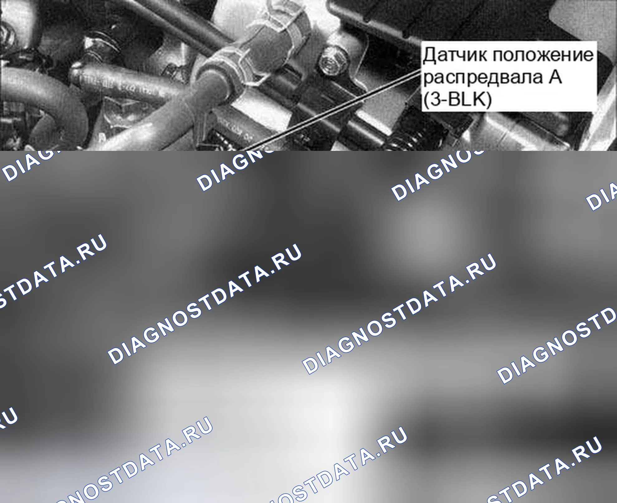 Рис. 313. Honda Accord VII рестайлинг