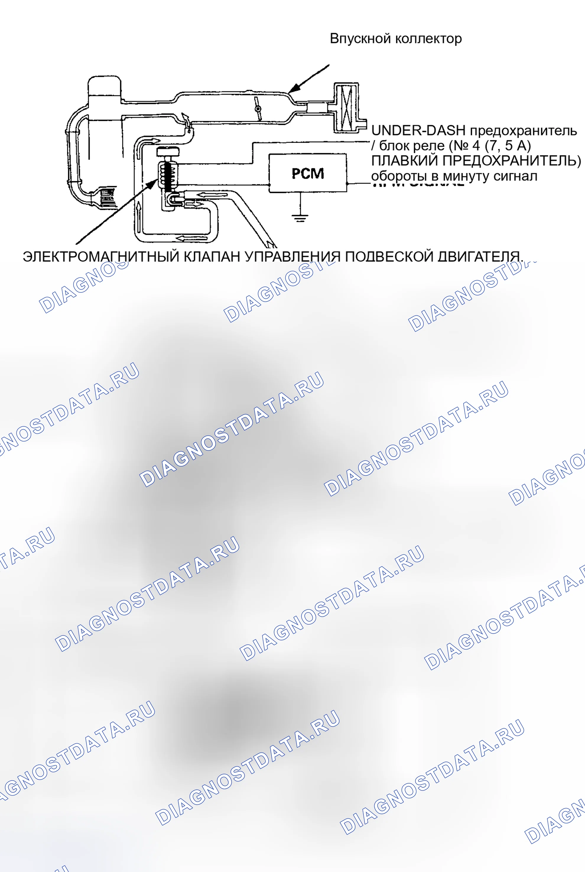 Рис. 2. Honda Accord V
