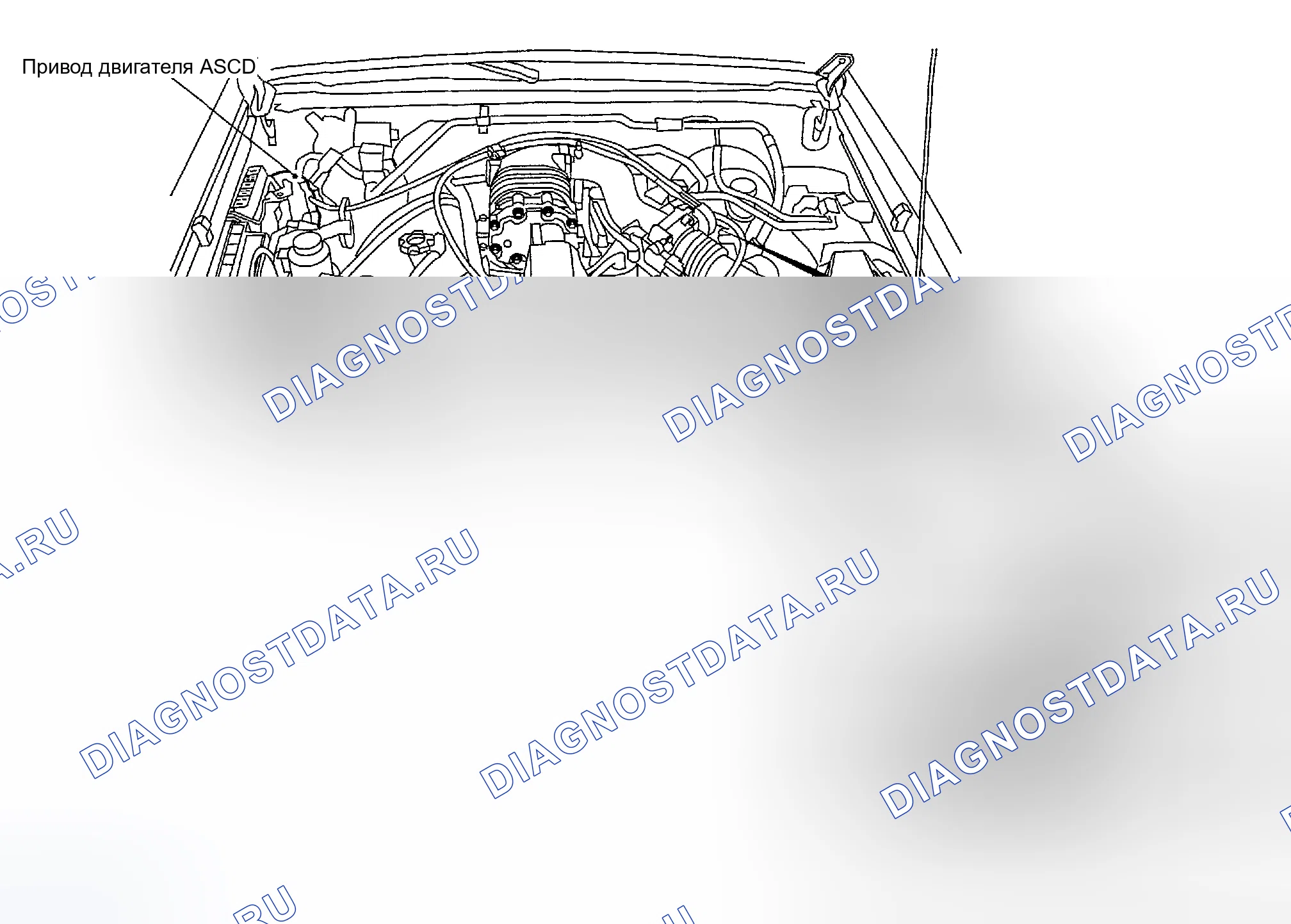 Рис. 32: С VG33ER. Honda Odyssey (North America) I