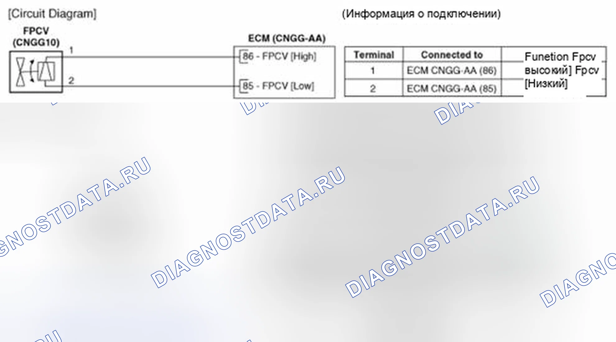Рис. 235: (A / T). Hyundai Veloster I