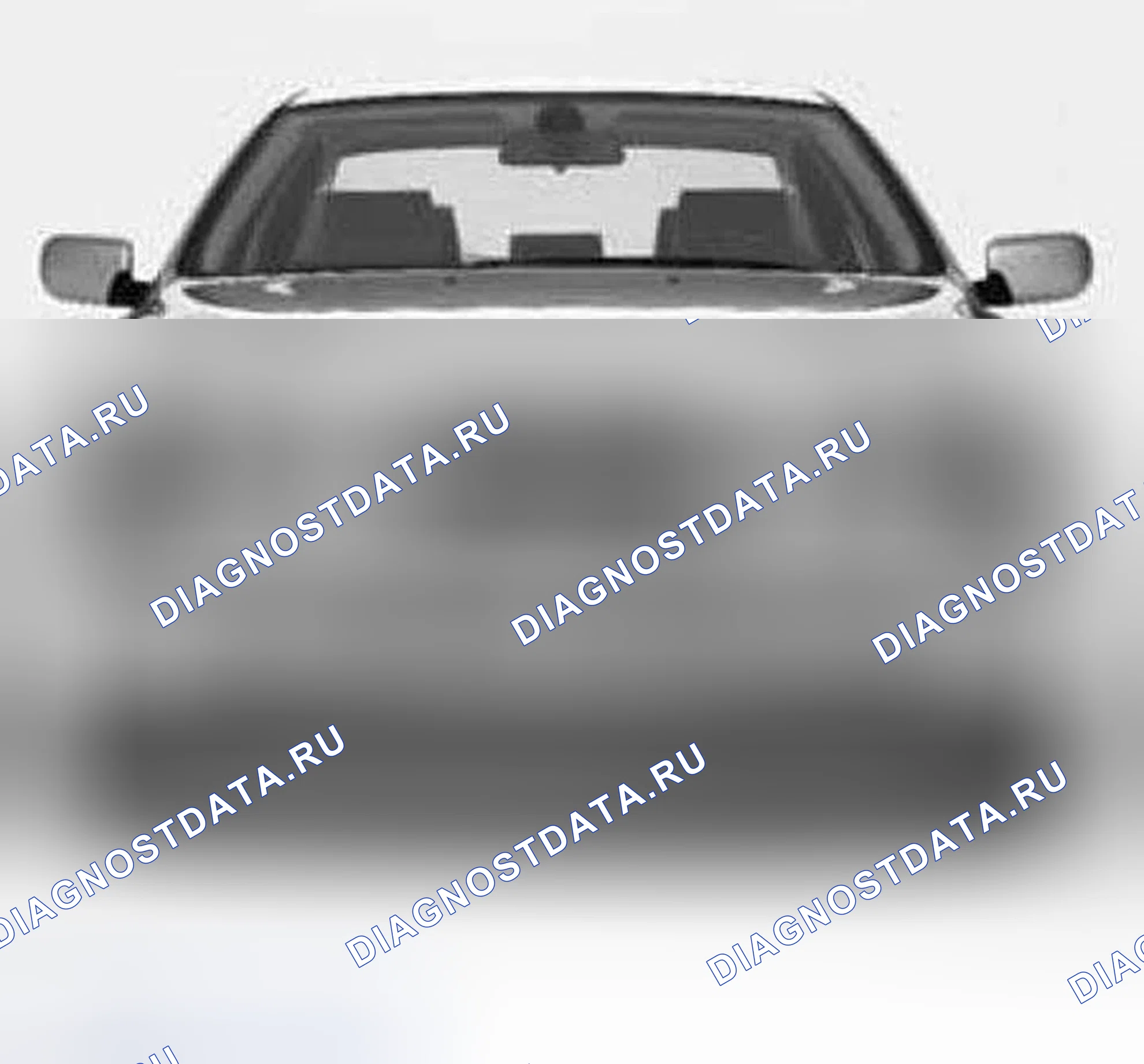 Рис. 226: Идентификационная решетка. BMW X5 E53