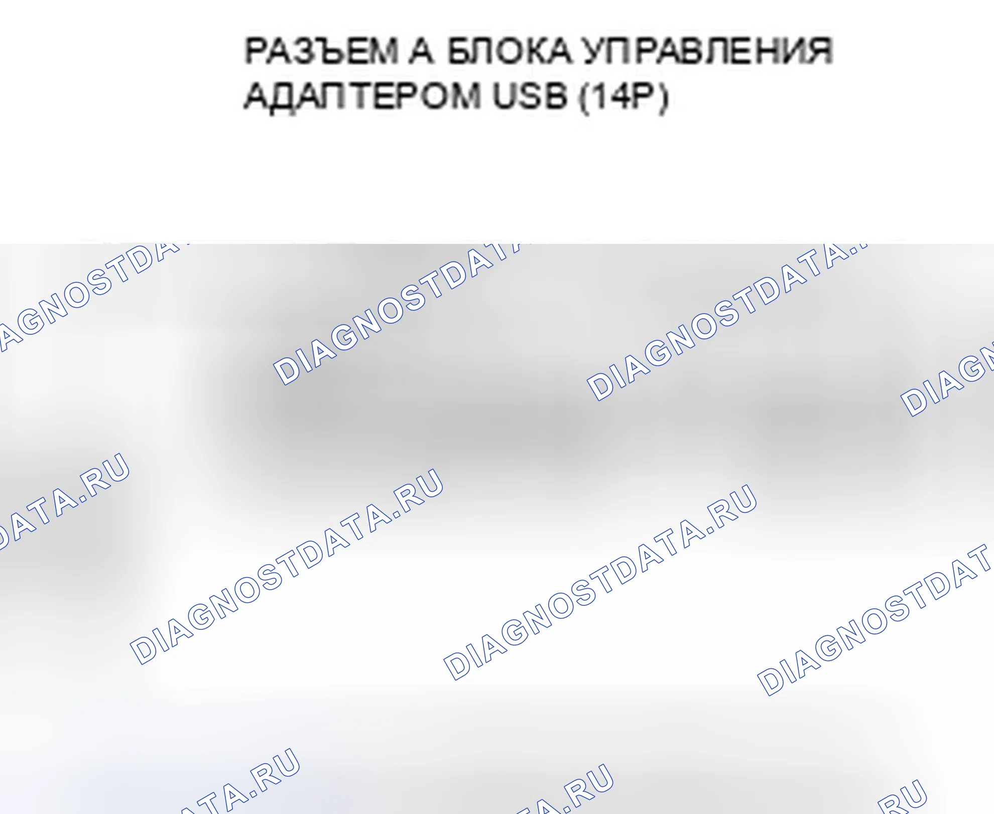 Рис. 446. Honda Crosstour I