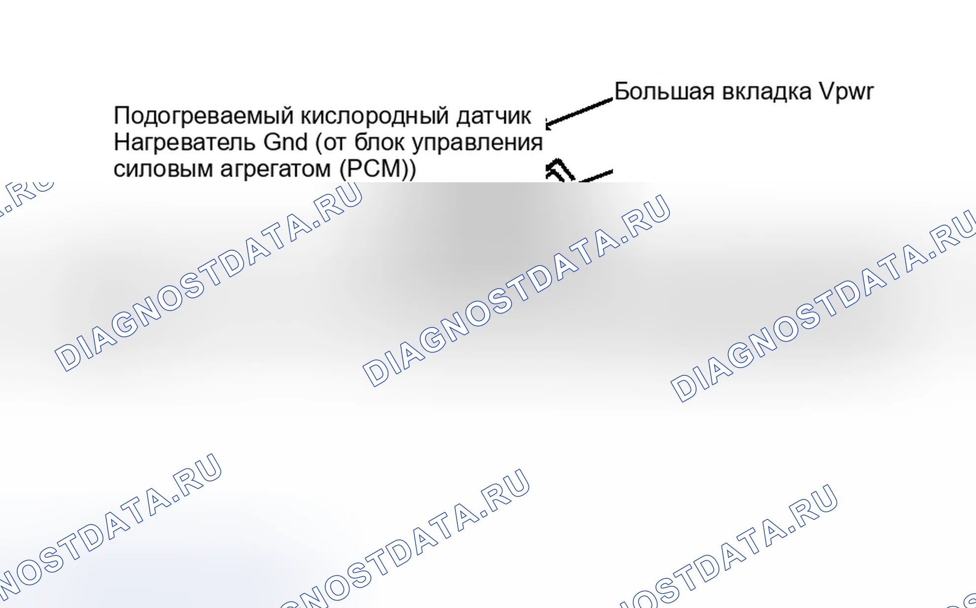 Рис. 232: Клеммы разъема подогреваемый кислородный датчик. Ford Pickup F250 