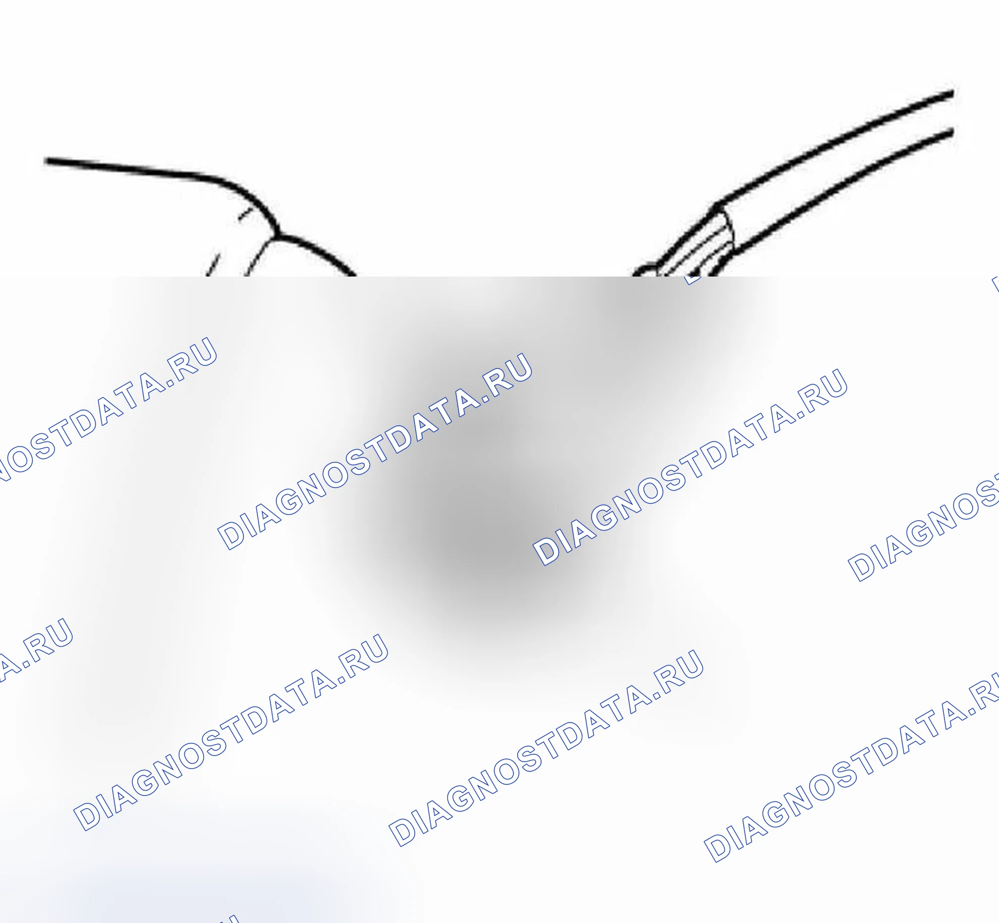 Рис. 1005. BMW X5 E53