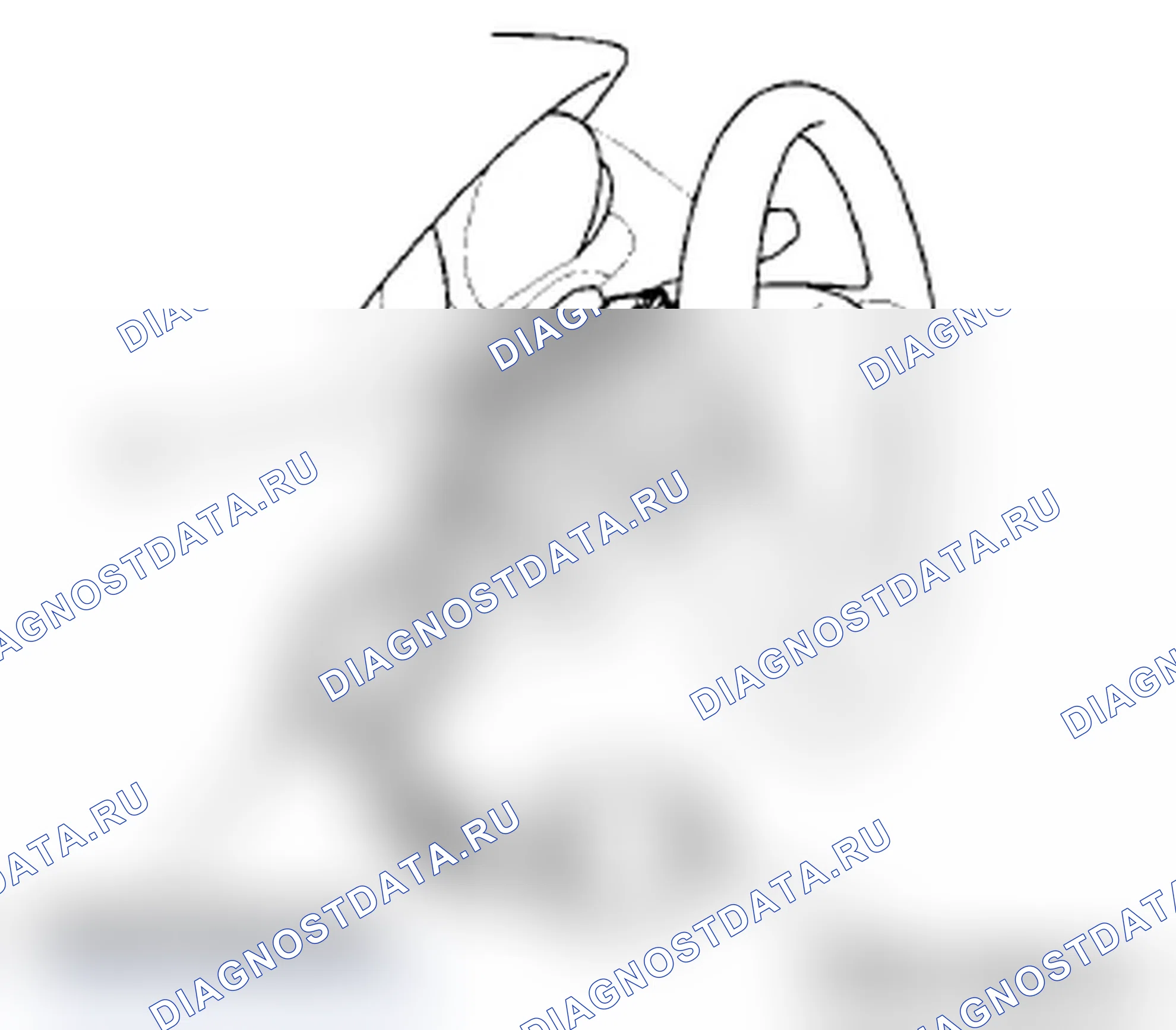 Рис. 55. Acura TL IV рестайлинг