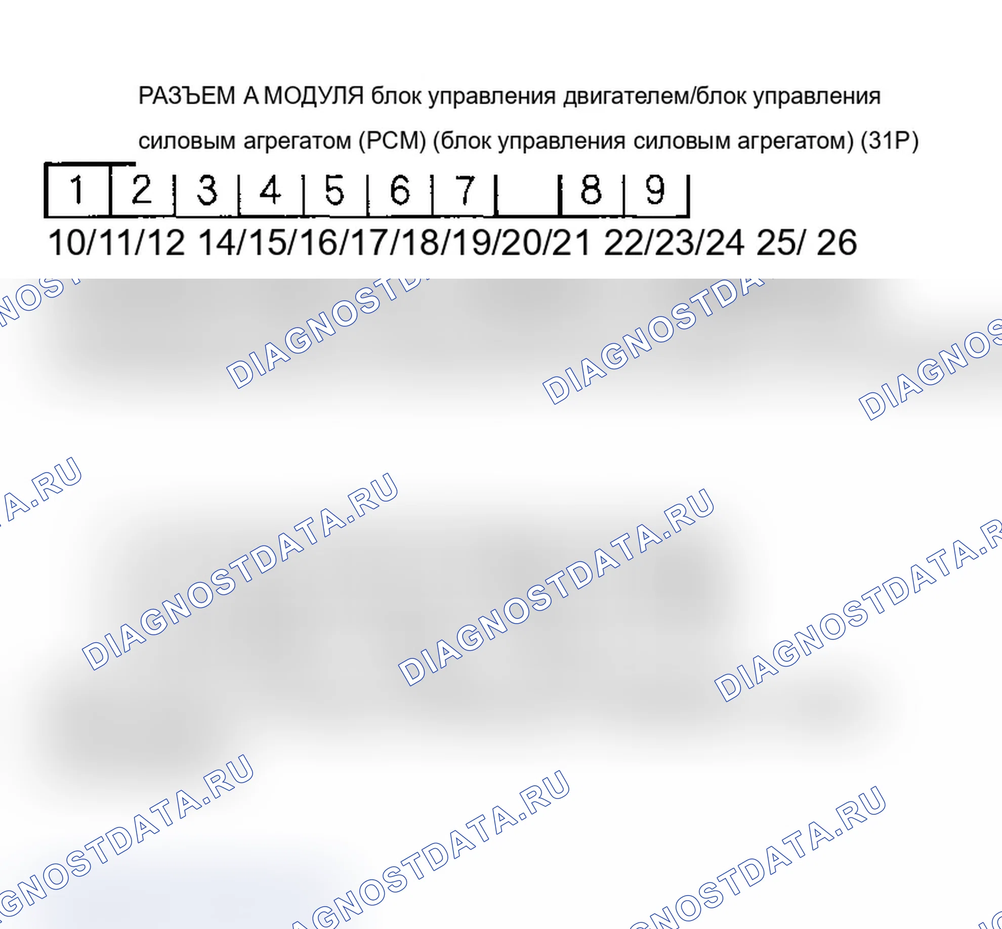 Рис. 447. Acura TL III