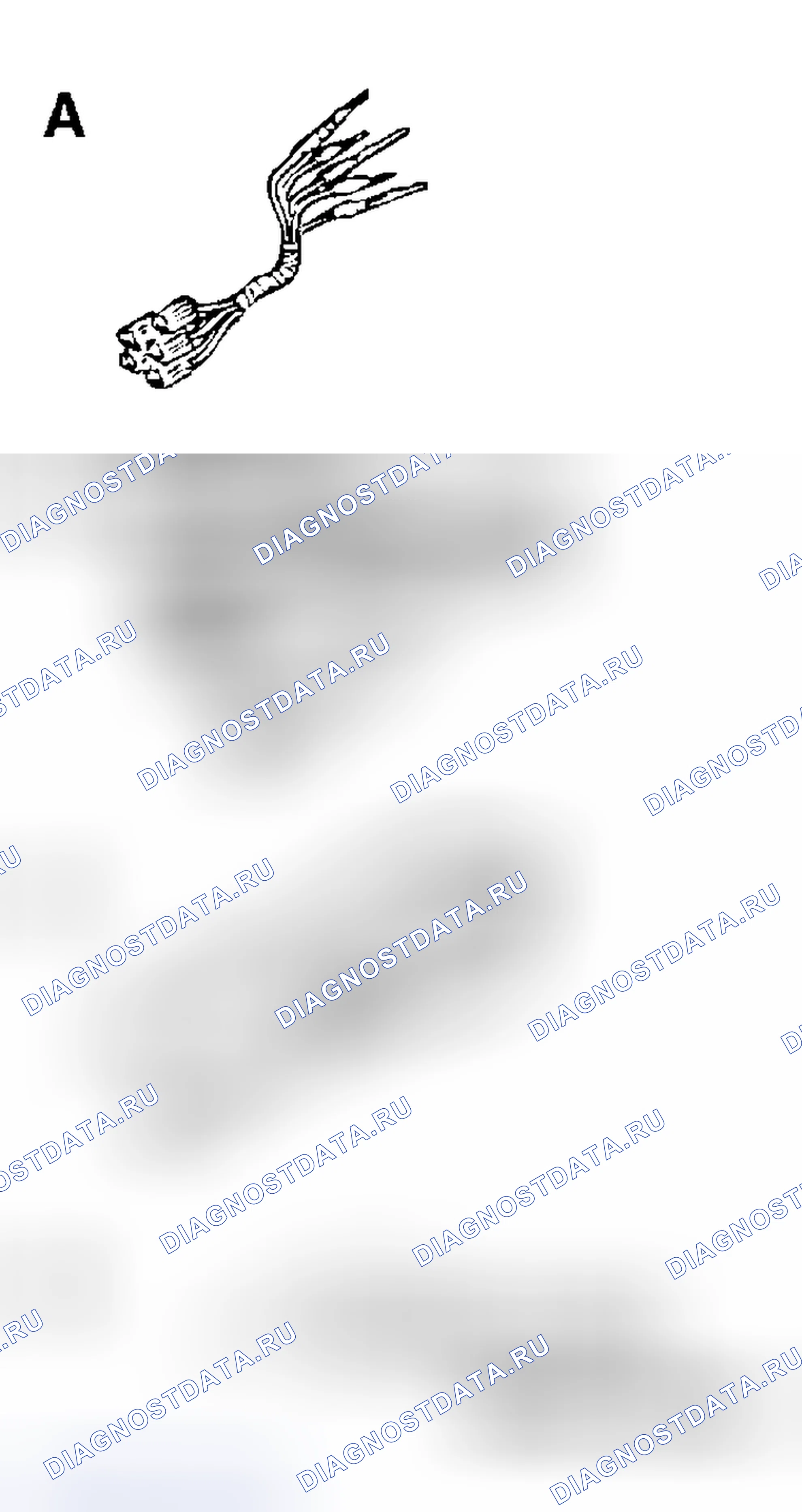 Рис. 231. Honda Fit Shuttle I