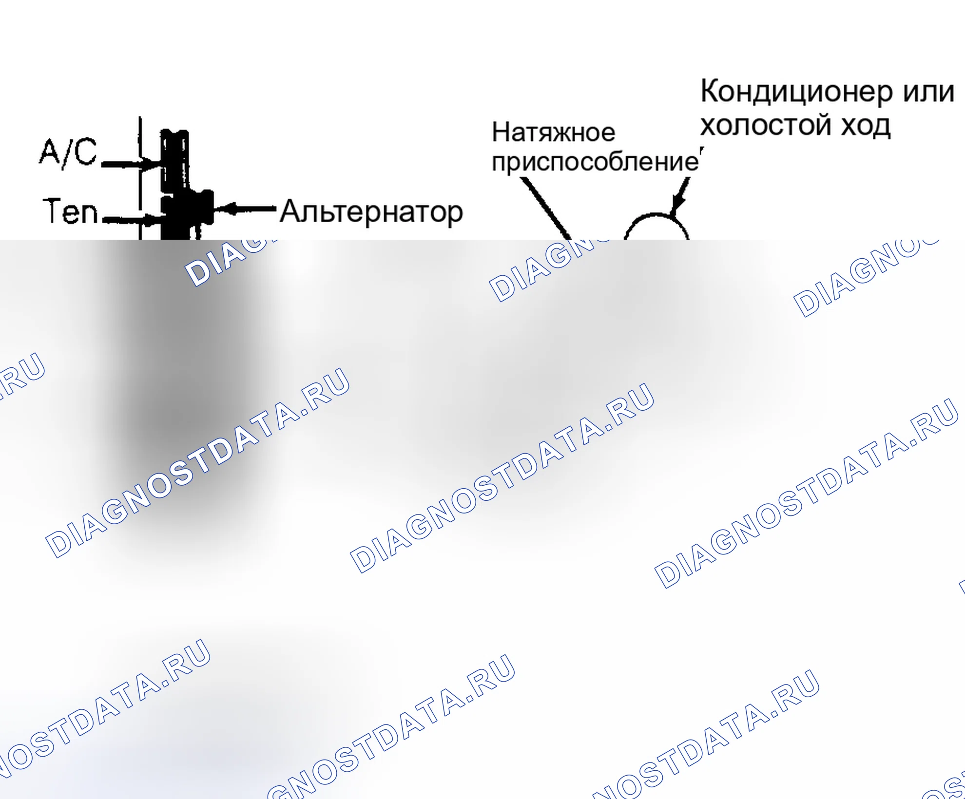 Рис. 3: Прокладка приводного ремня (7.5L). Ford Cab & Chassis F350 