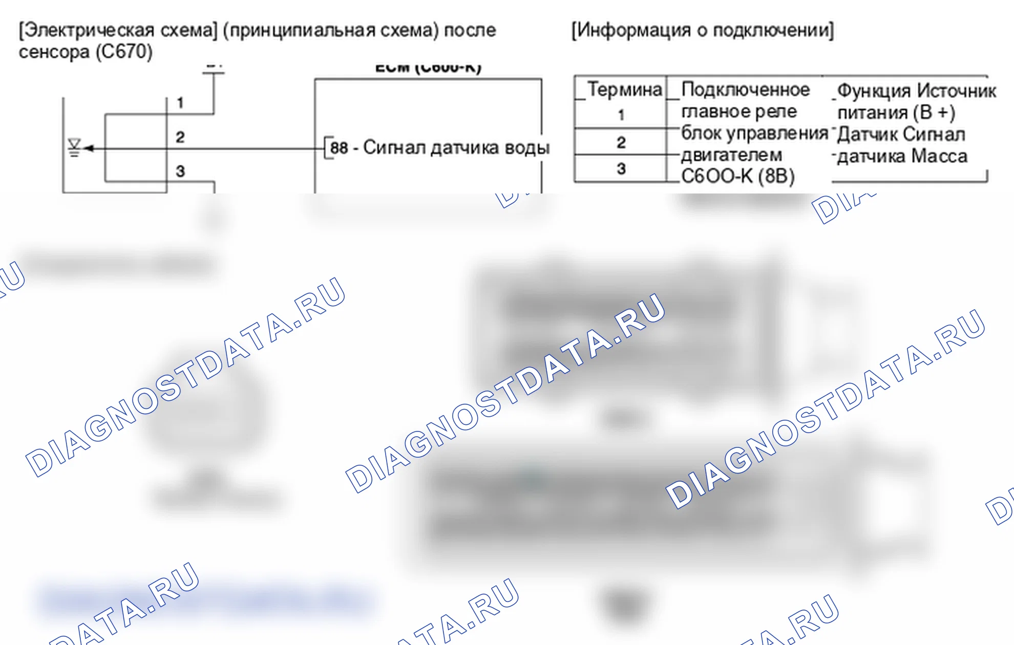 Фрагмент электросхемы: Датчик воды. Hyundai ix35 EL