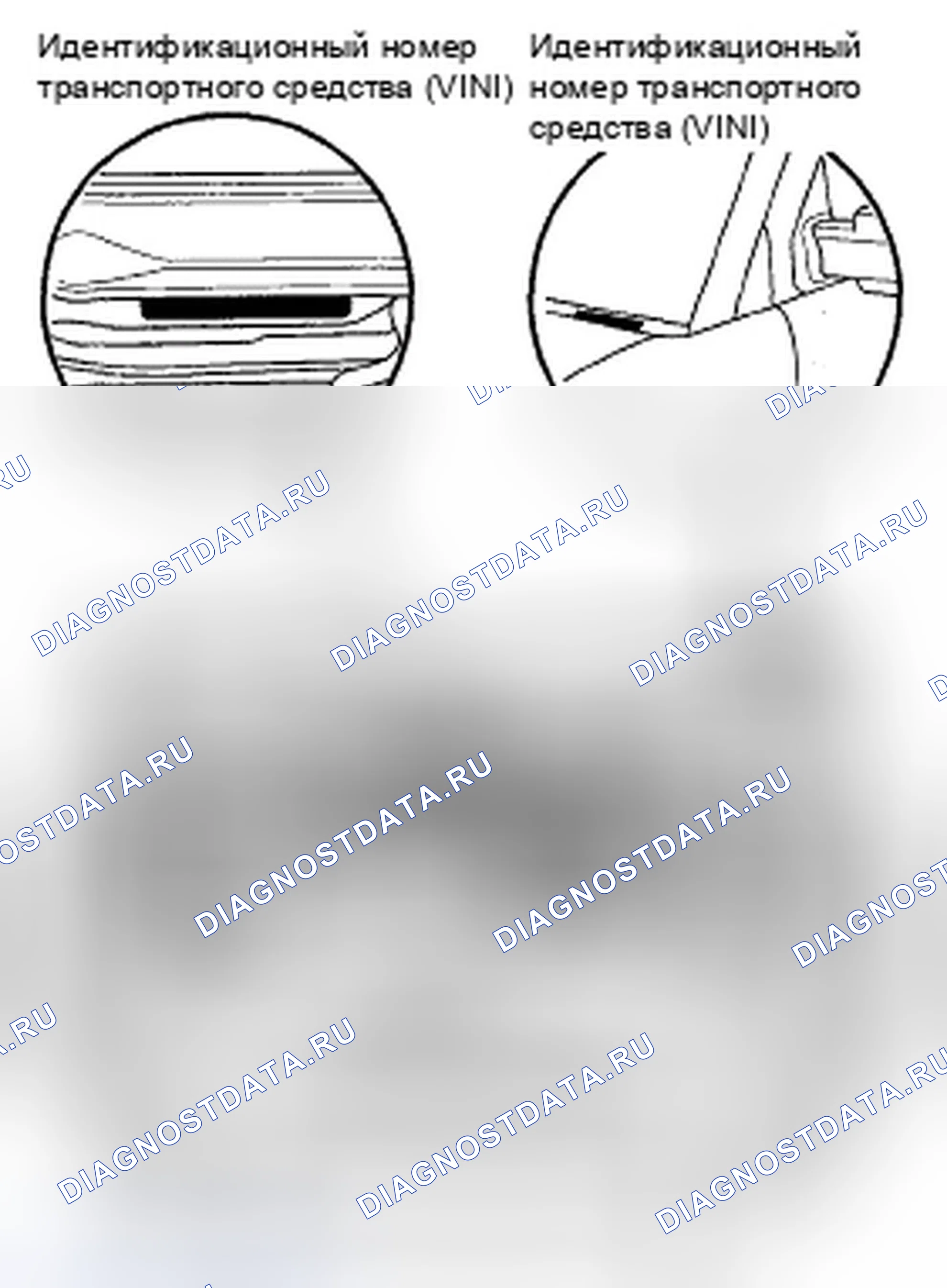 Рис. 20: Расположение идентификационных номеров. Honda Element YH2 рестайлинг 2