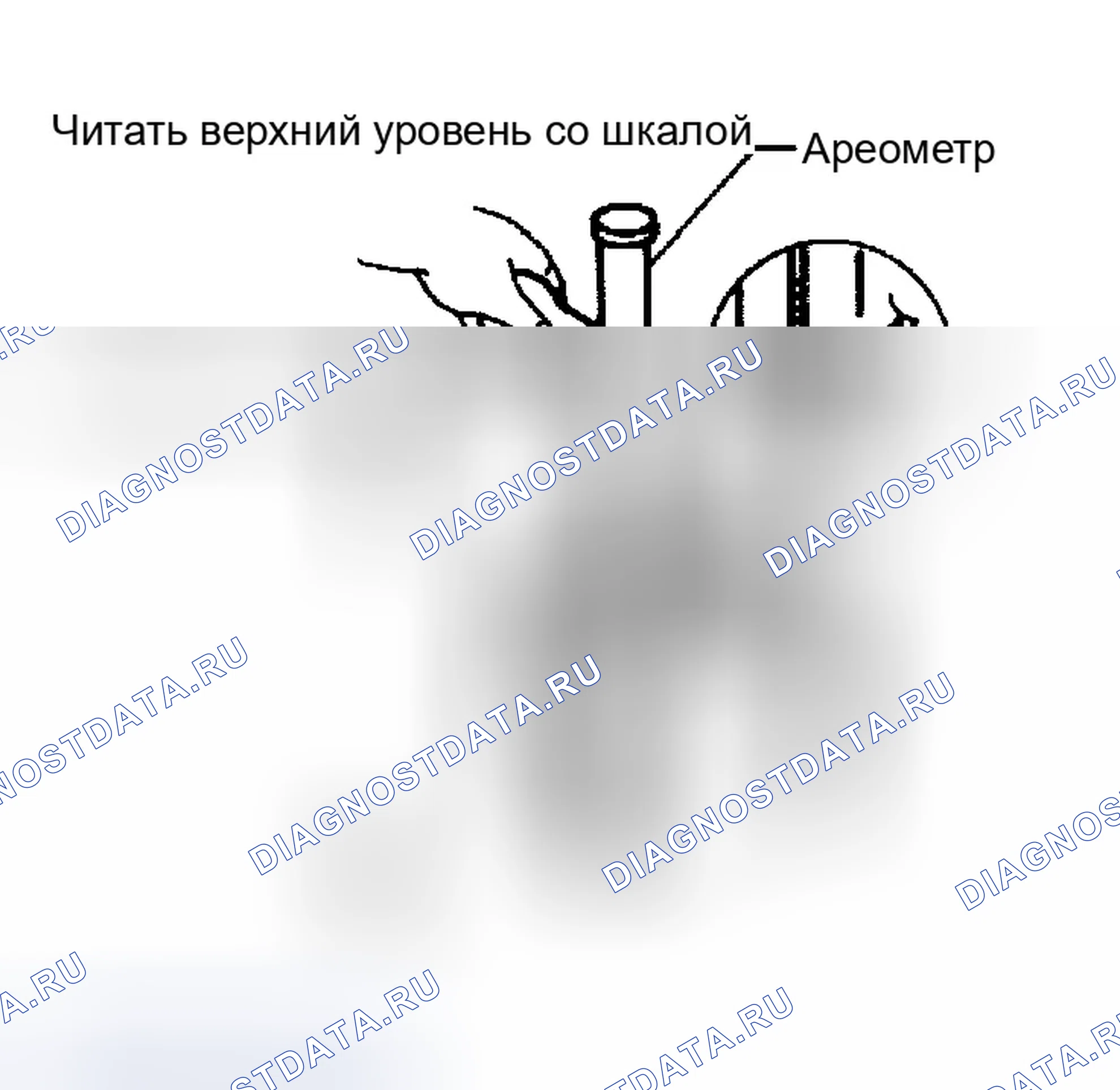 Рис. 114: ПРОВЕРКА УДЕЛЬНОГО ВЕСА. Infiniti G35 III