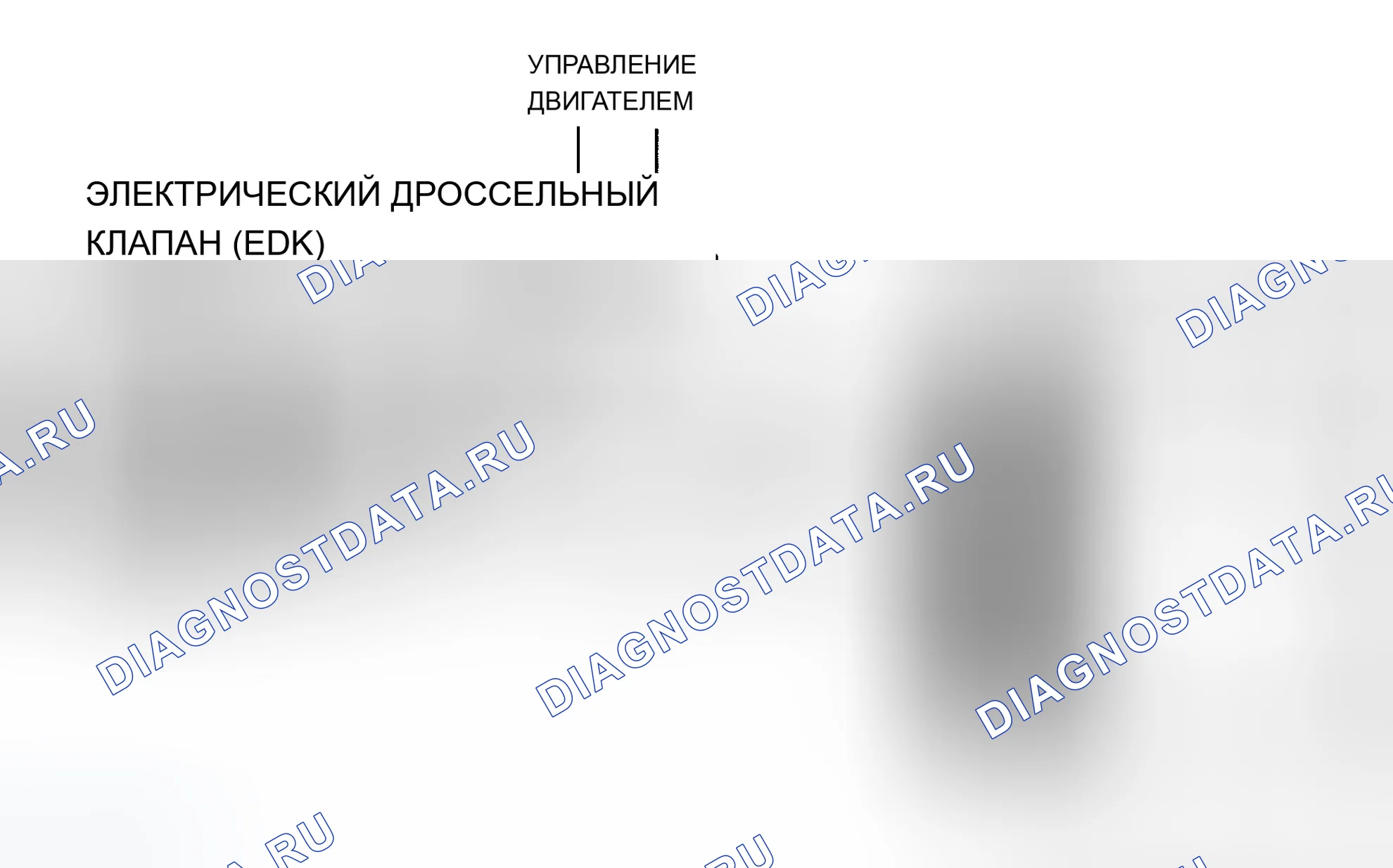 Рис. 13: Сигналы обратной связи положения дроссельной заслонки EDK. BMW X5 E53