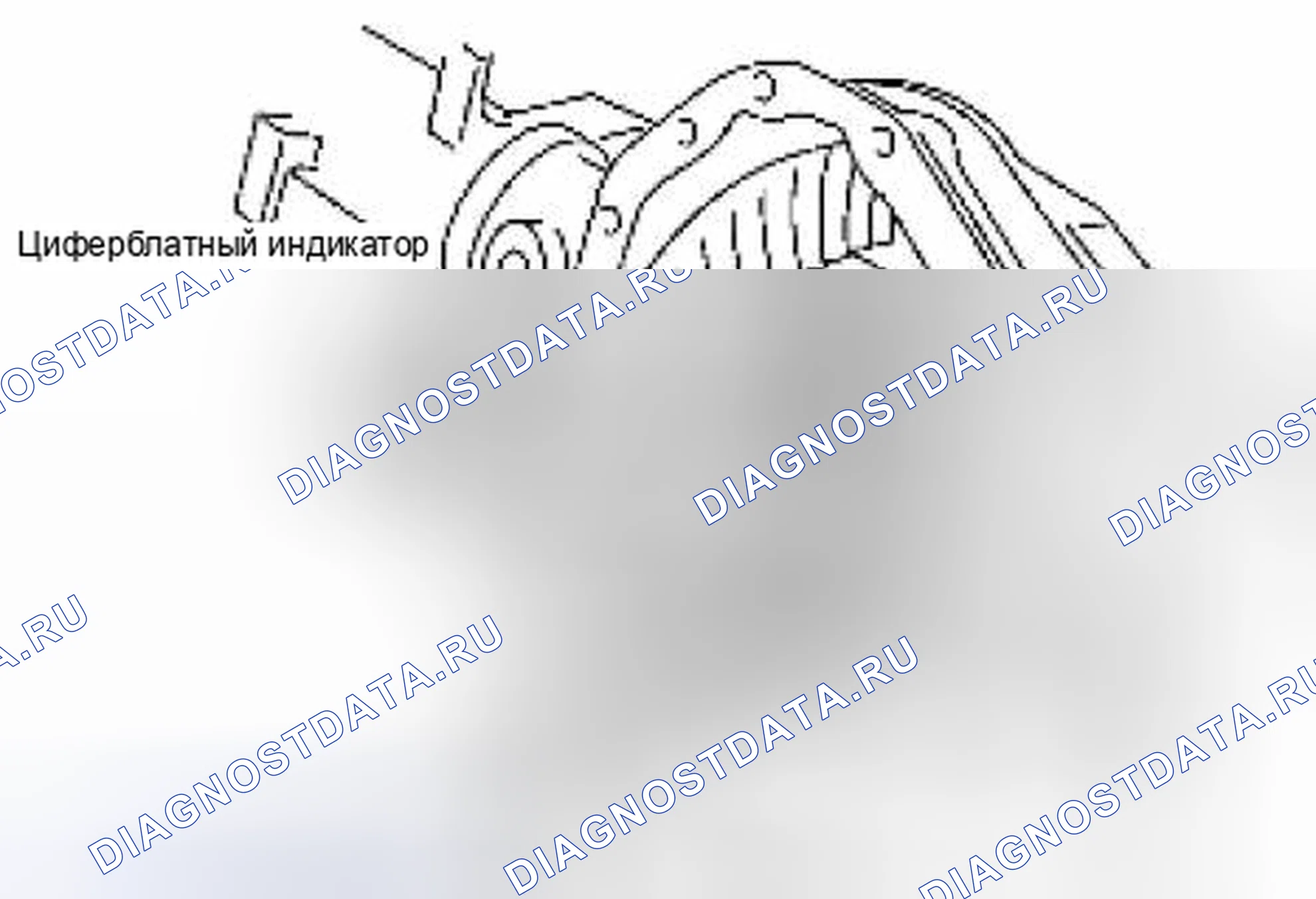 Рис. 258: Люфт. Suzuki Equator I