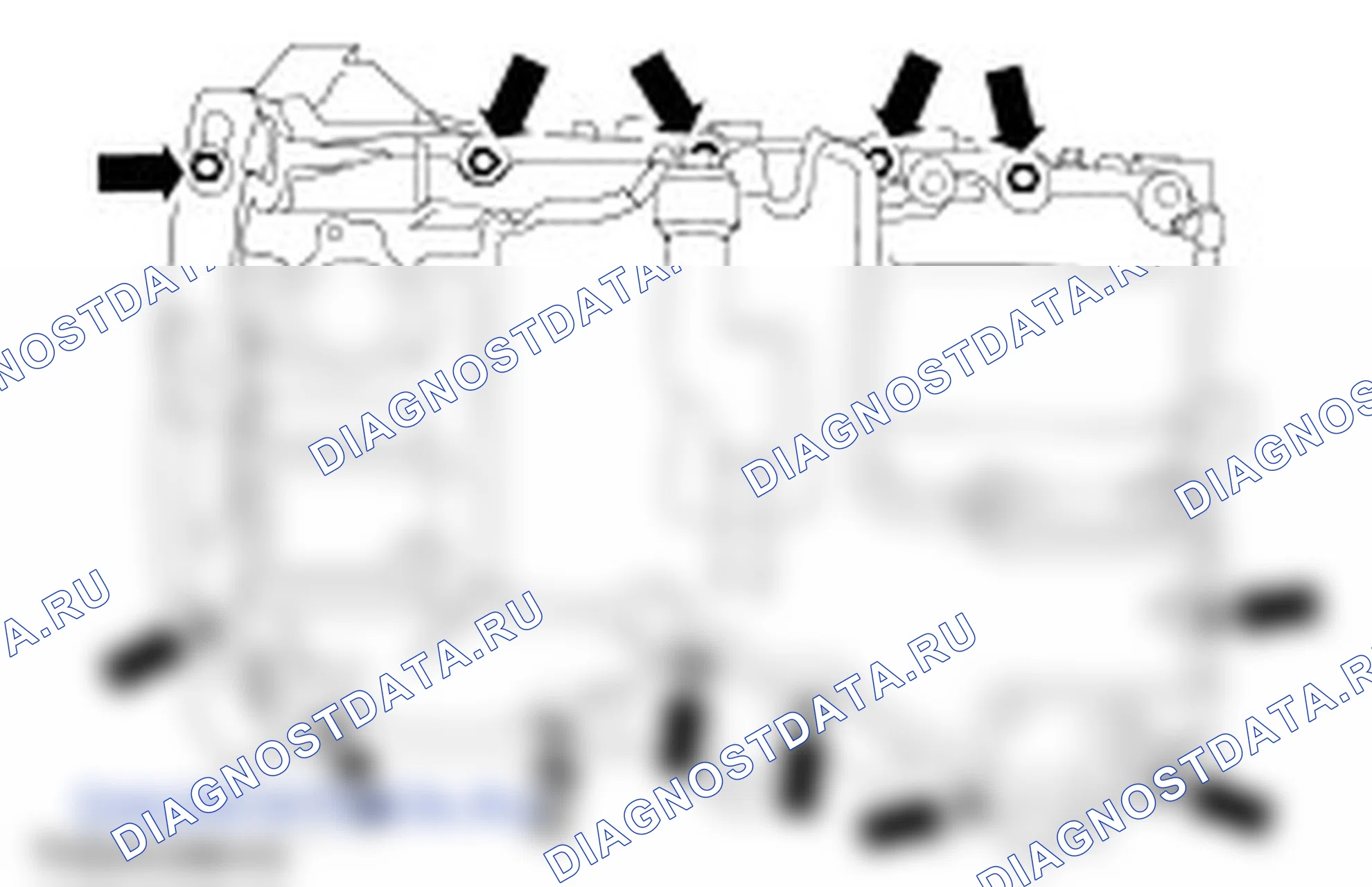 Разборка двигателя. Ford C-MAX I рестайлинг