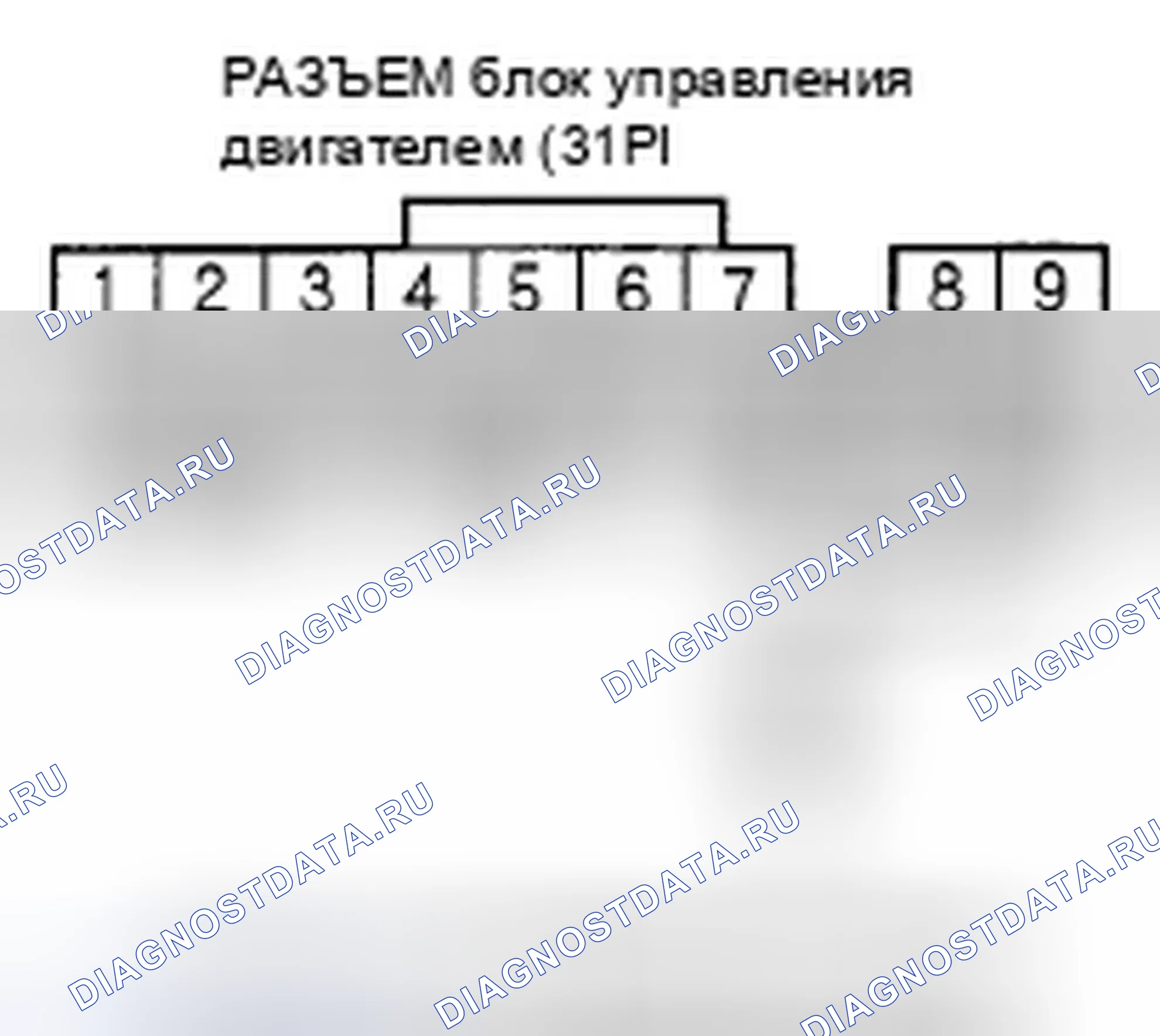 Рис. 483. Honda Element YH2 рестайлинг 2