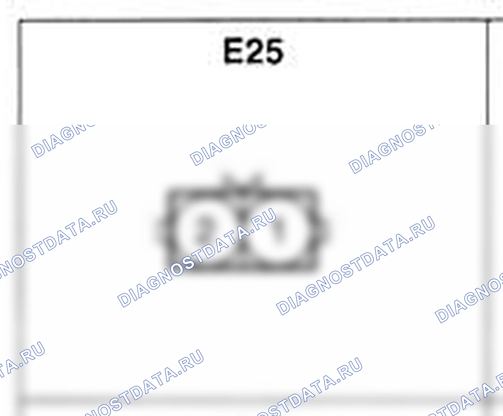 Распиновка разъёма E25 — жгута двигателя. Hyundai H-1 A1
