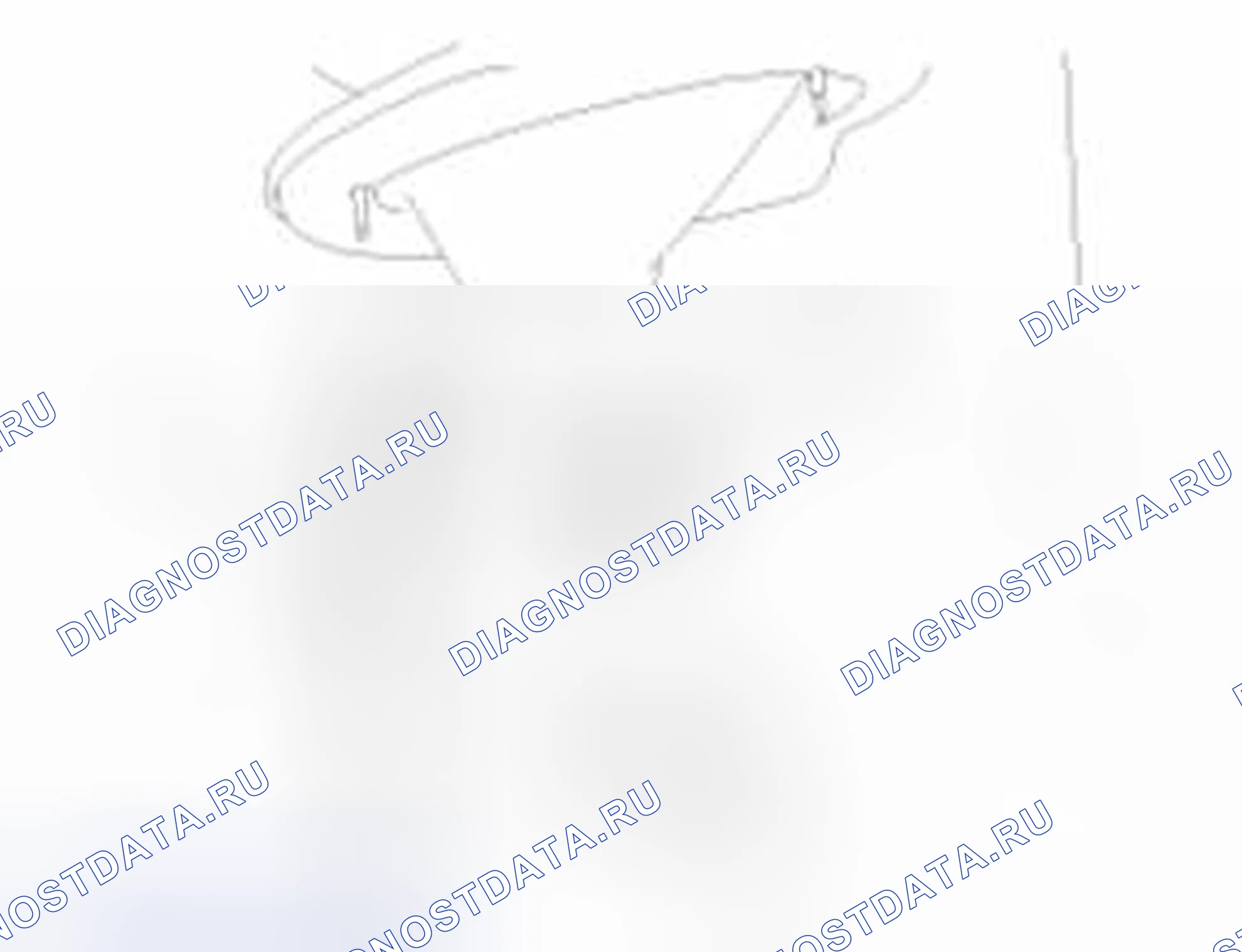 Рис. 6. Kia Sedona II рестайлинг