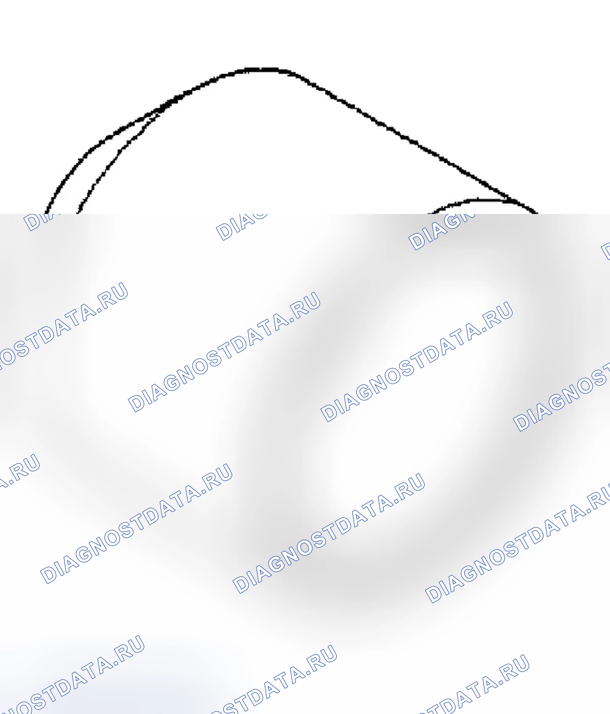 Рис. 263. Jeep Liberty I