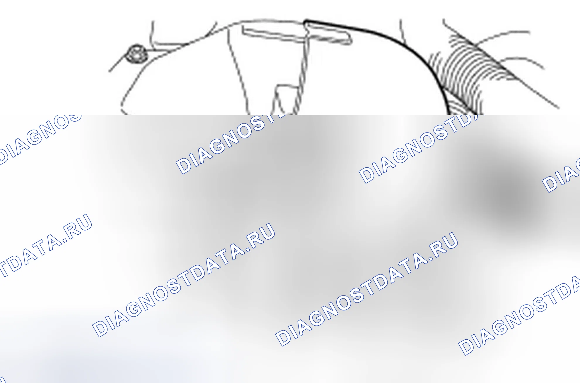 Рис. 208. Ford Focus II