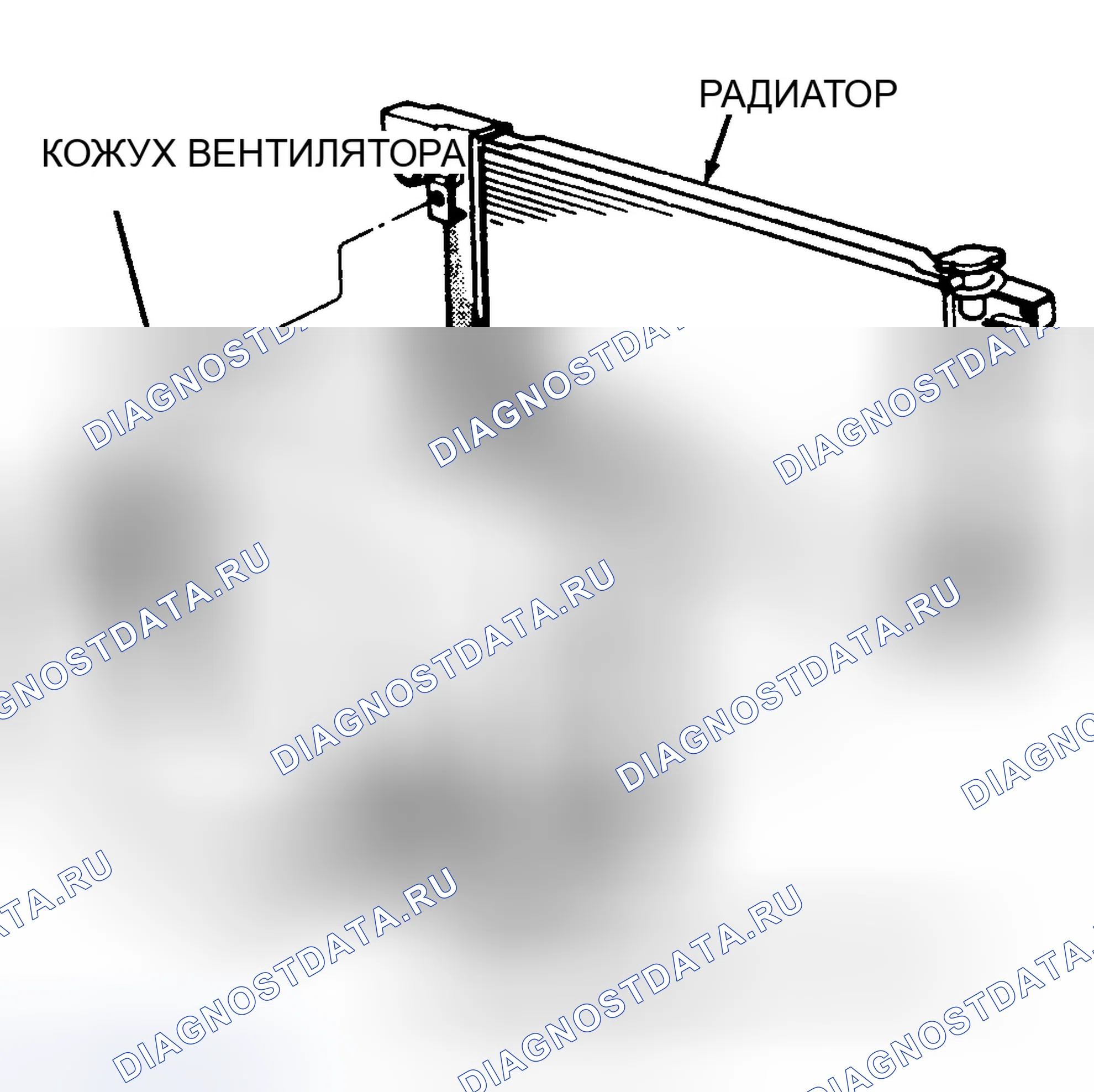 Рис. 67. Dodge Dakota WS 