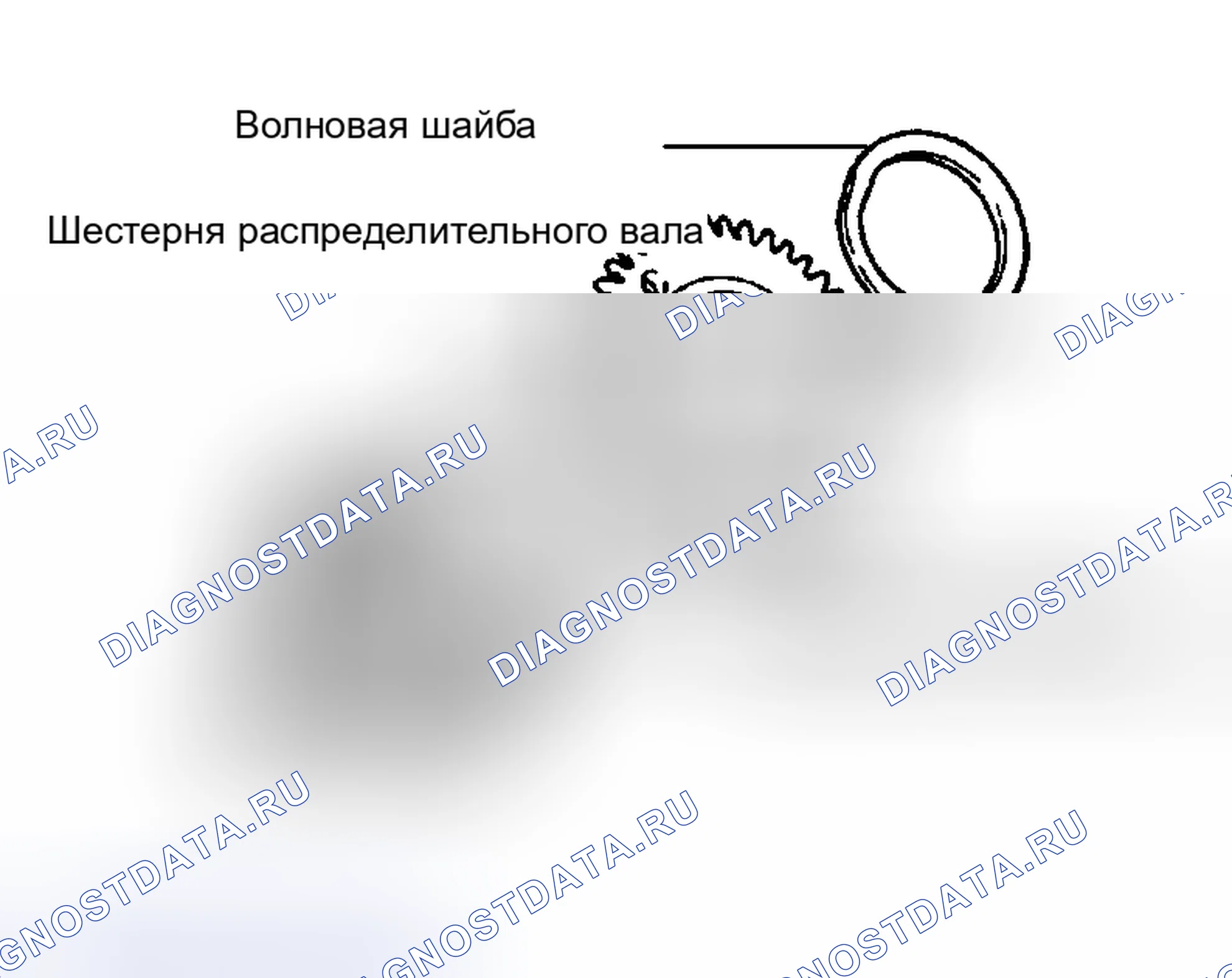 Рис. 244. Lexus RX II