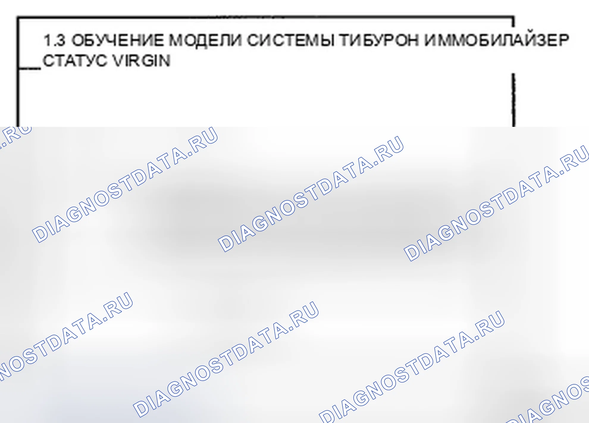 Рис. 61. Hyundai Tiburon II рестайлинг