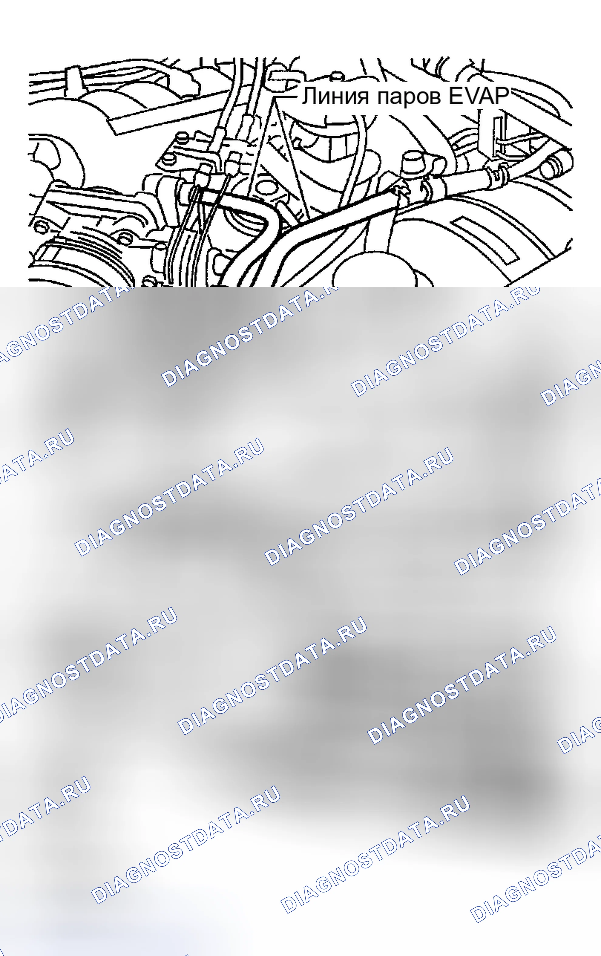 Рис. 59: Проверка испарительных линий EVAP. Honda Odyssey (North America) I