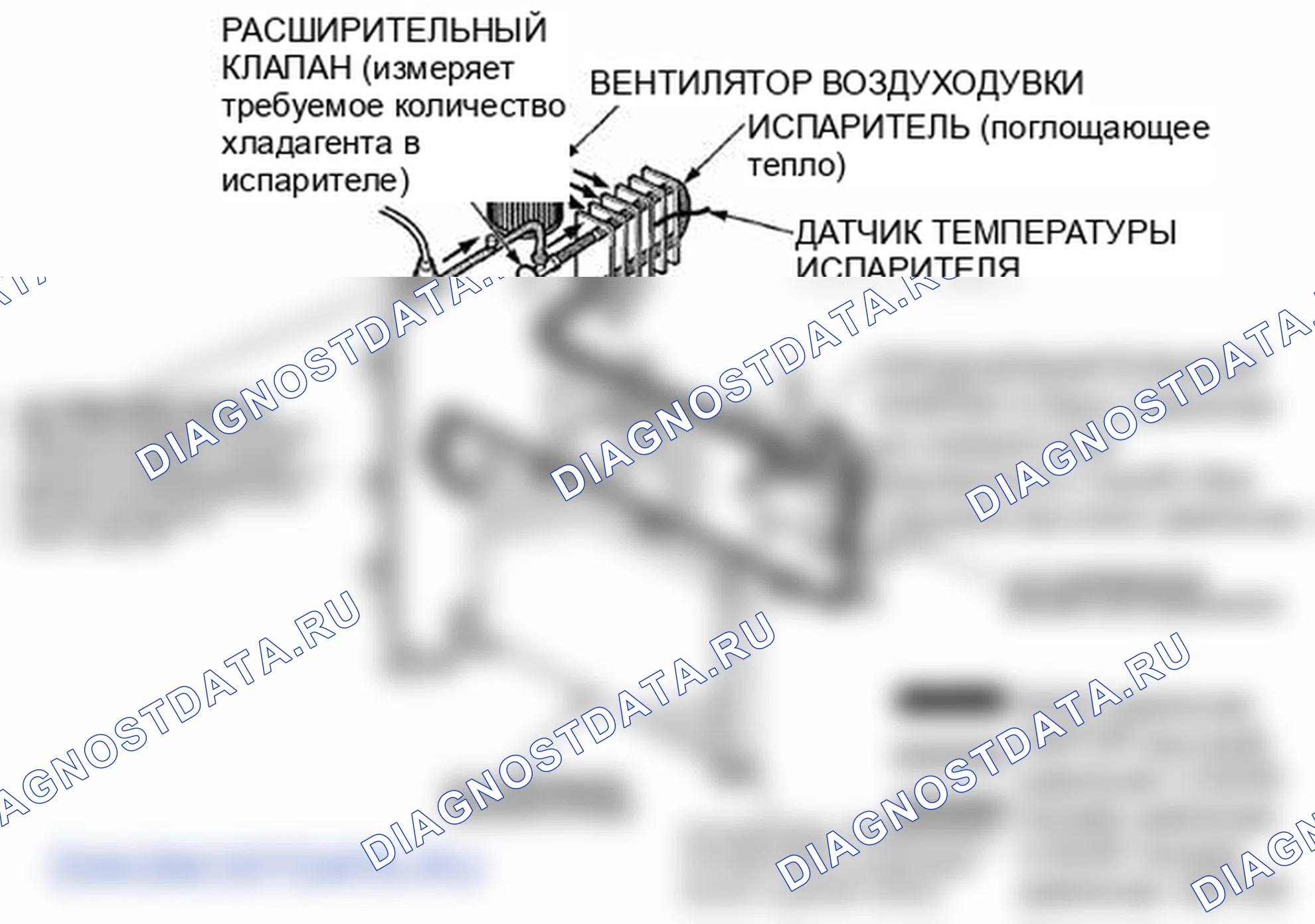 Рис. 13. Honda Element YH2 рестайлинг 2
