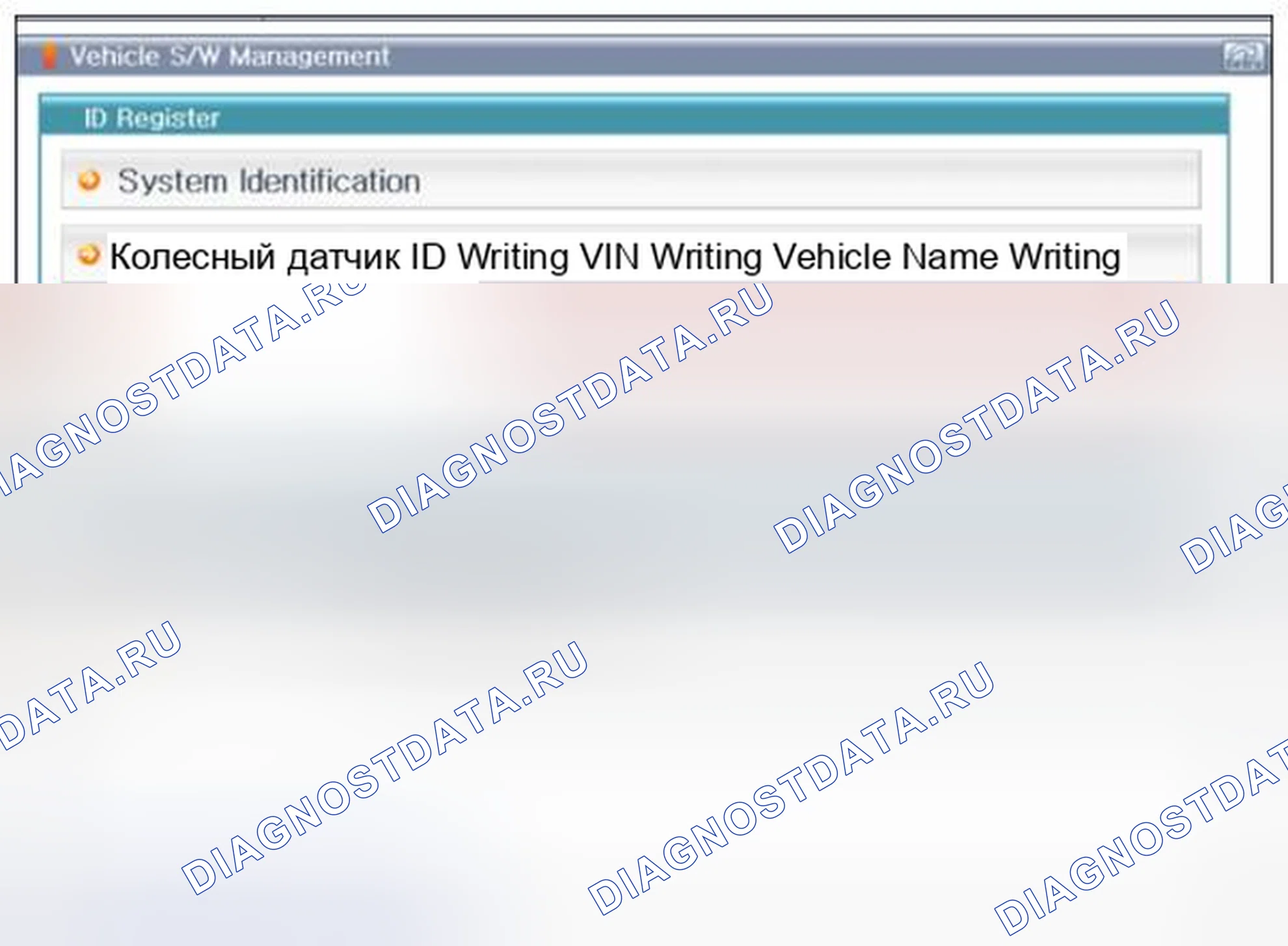 Рис. 42: [Инициализация входа VIN]. BMW 6 серия F06/F13/F12