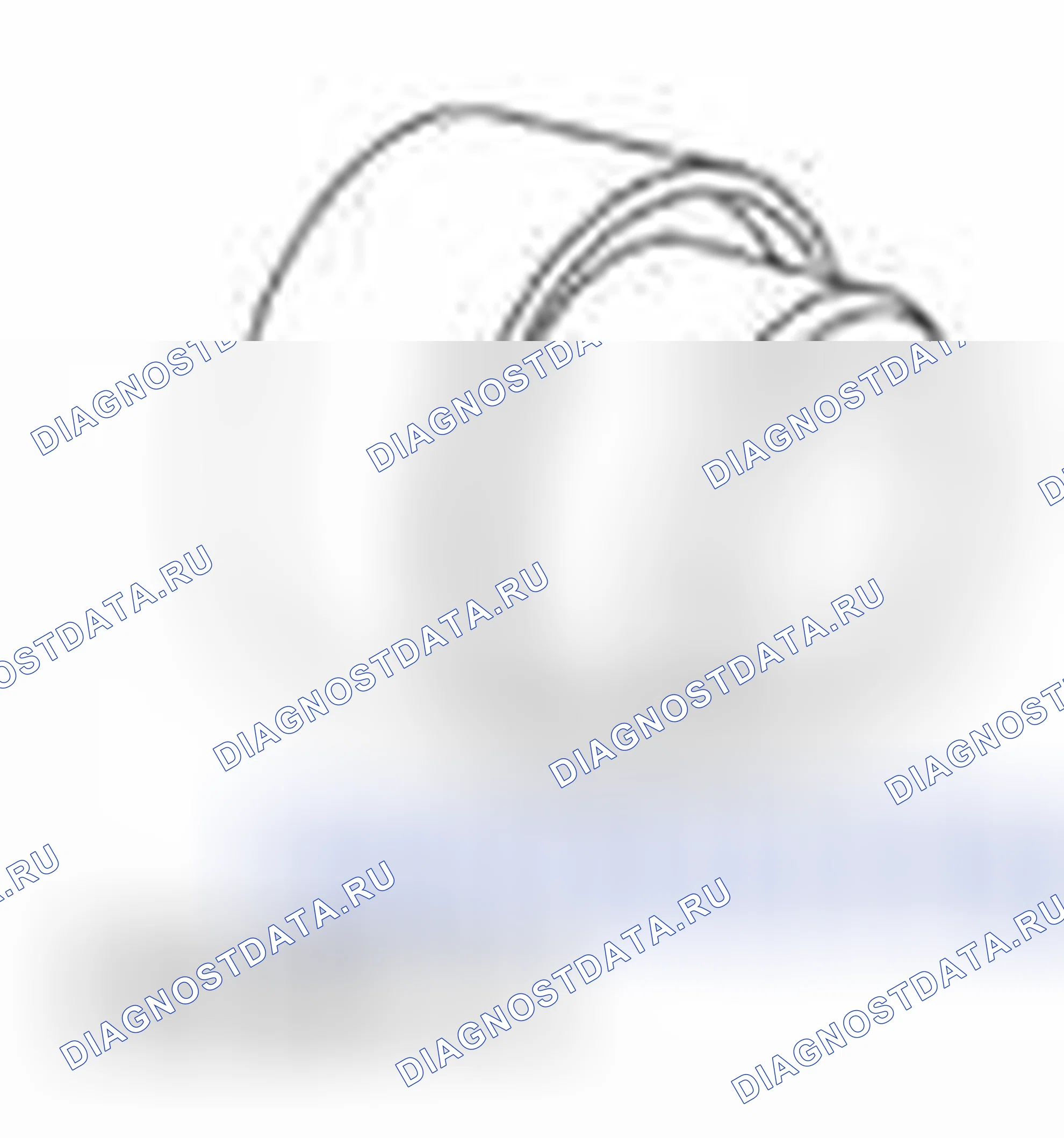 Рис. 774. Ford Pickup F250 Super Duty II