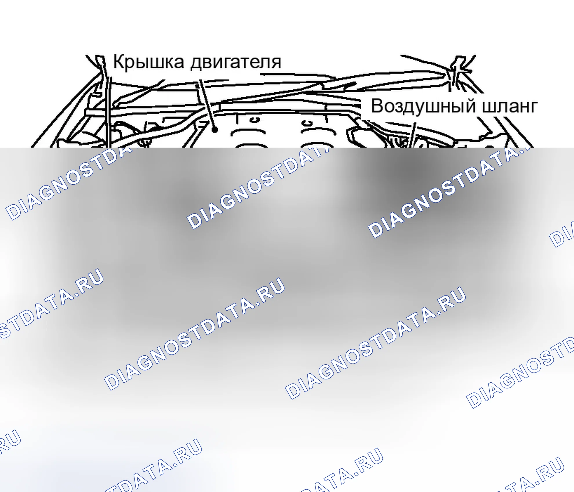 Рис. 702: ДЕМОНТАЖ. Infiniti G35 III