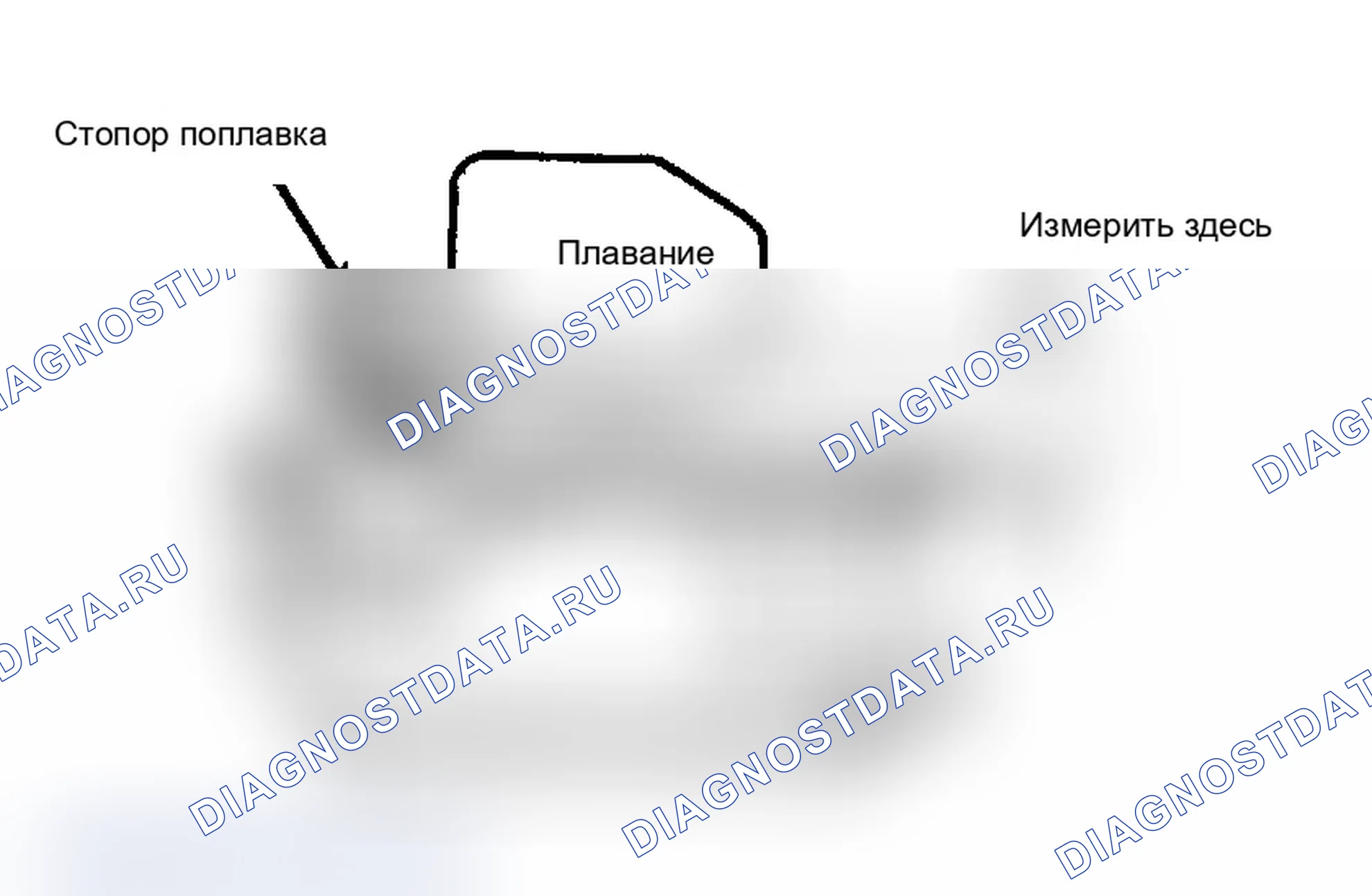 Дефекты и повреждение лакокрасочного покрытия: описание и работа. Ford B-MAX I