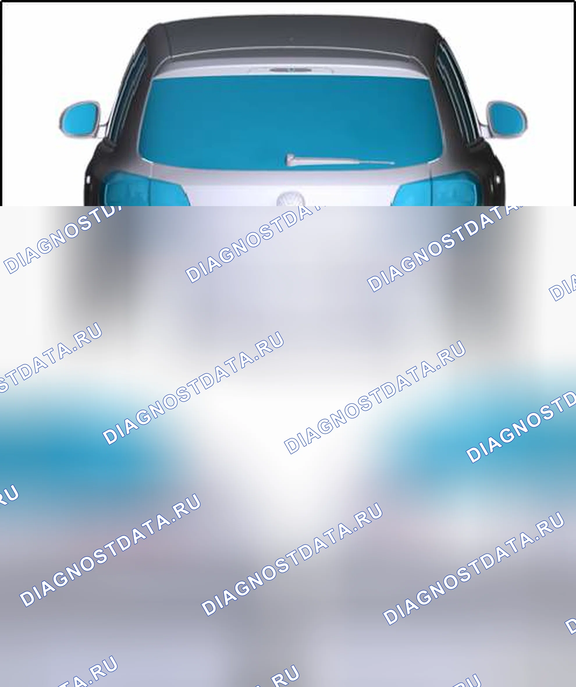 Рис. 1. Volkswagen Tiguan I