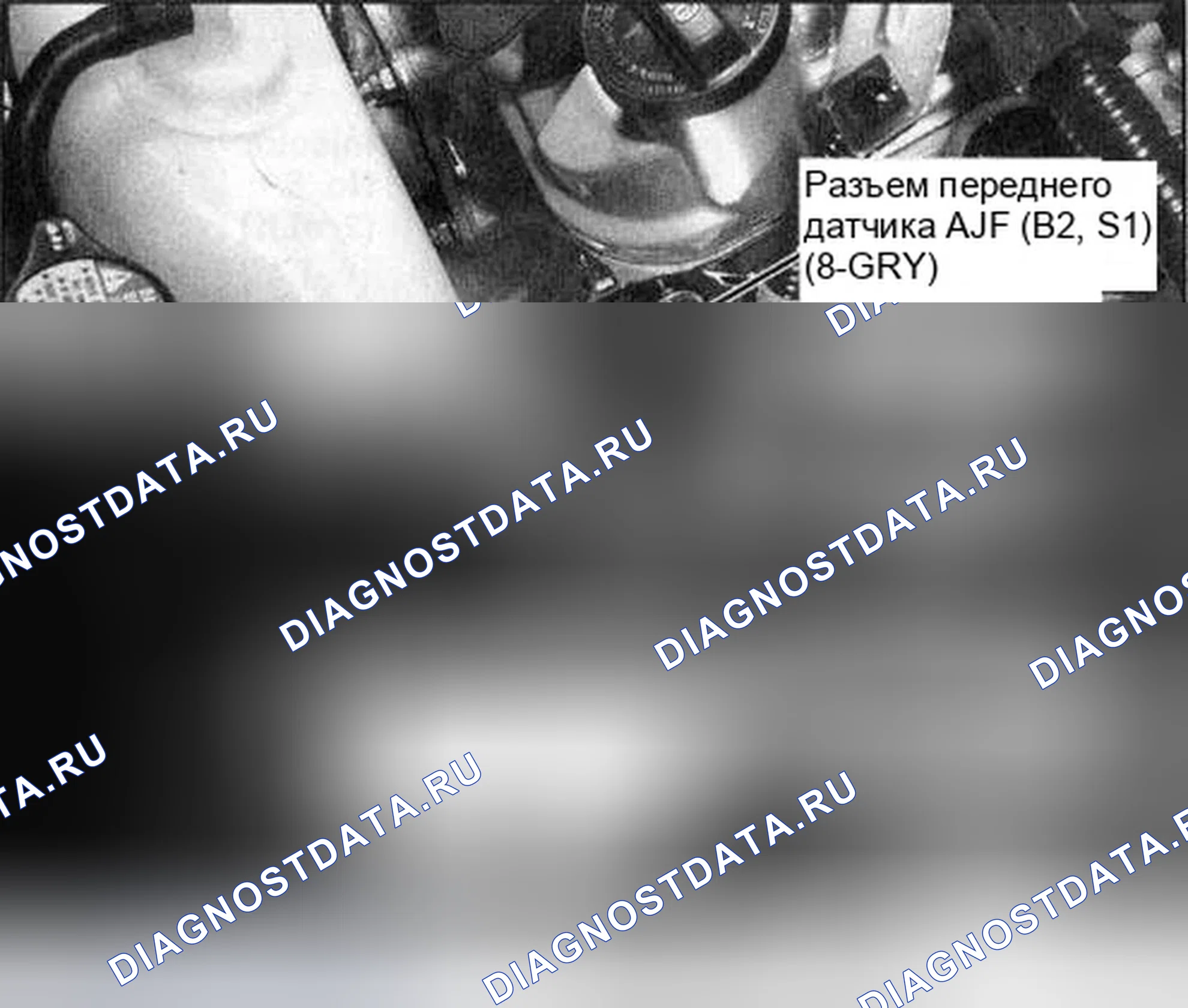 Рис. 244. Honda Accord VII рестайлинг