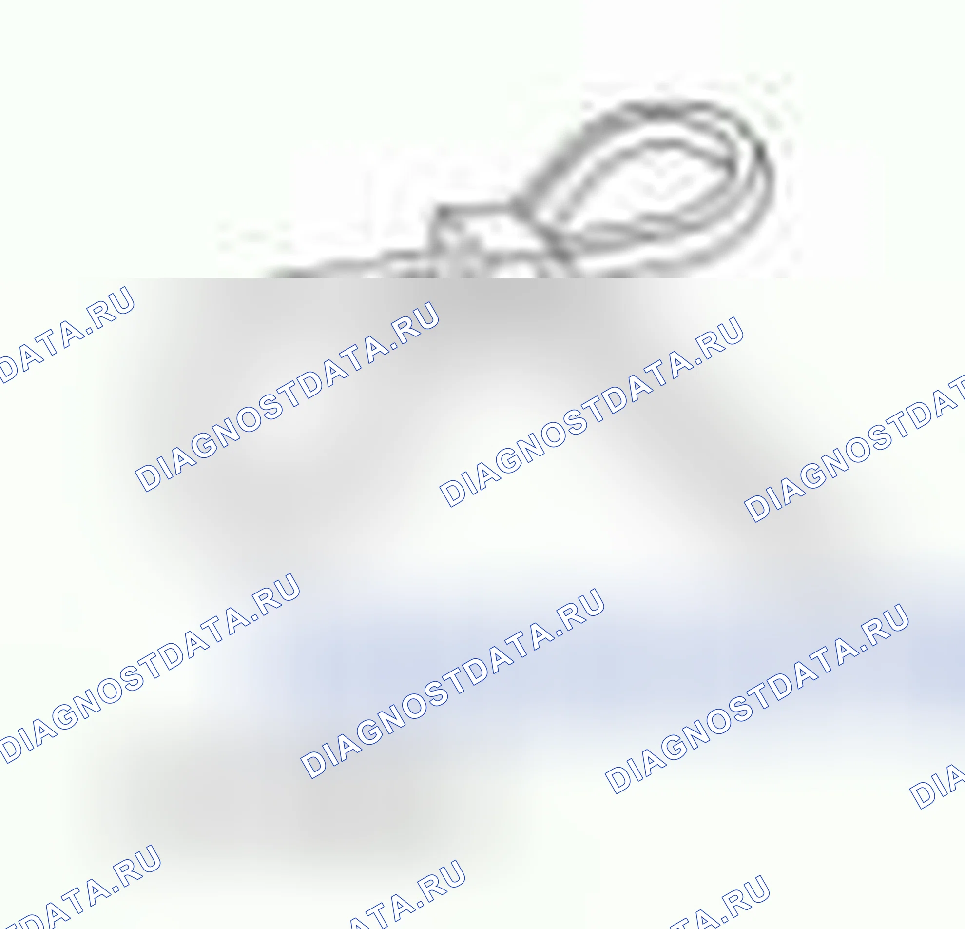 Рис. 1346. Hyundai ix55 I