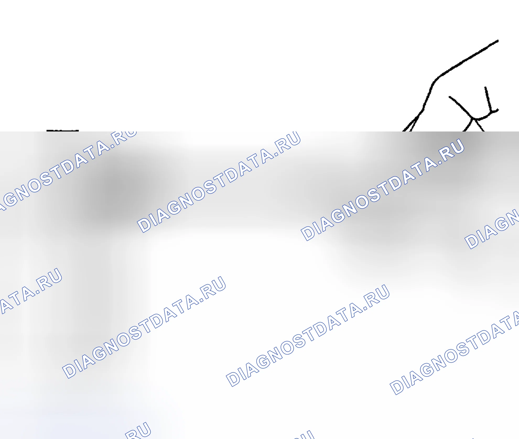 Рис. 1308. Hyundai Terracan I