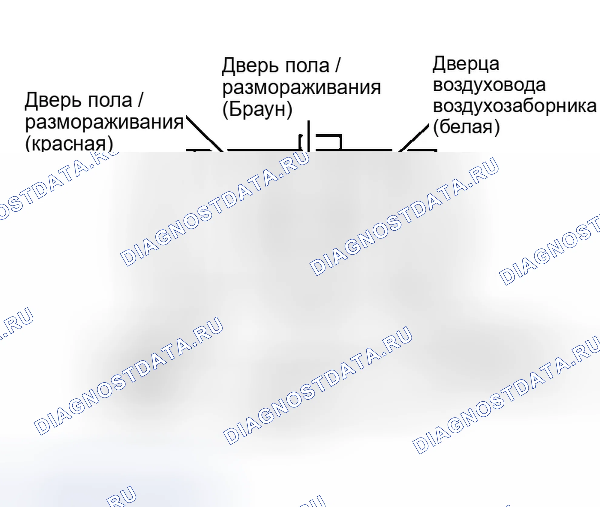 Рис. 9. Ford Escort ZX2 