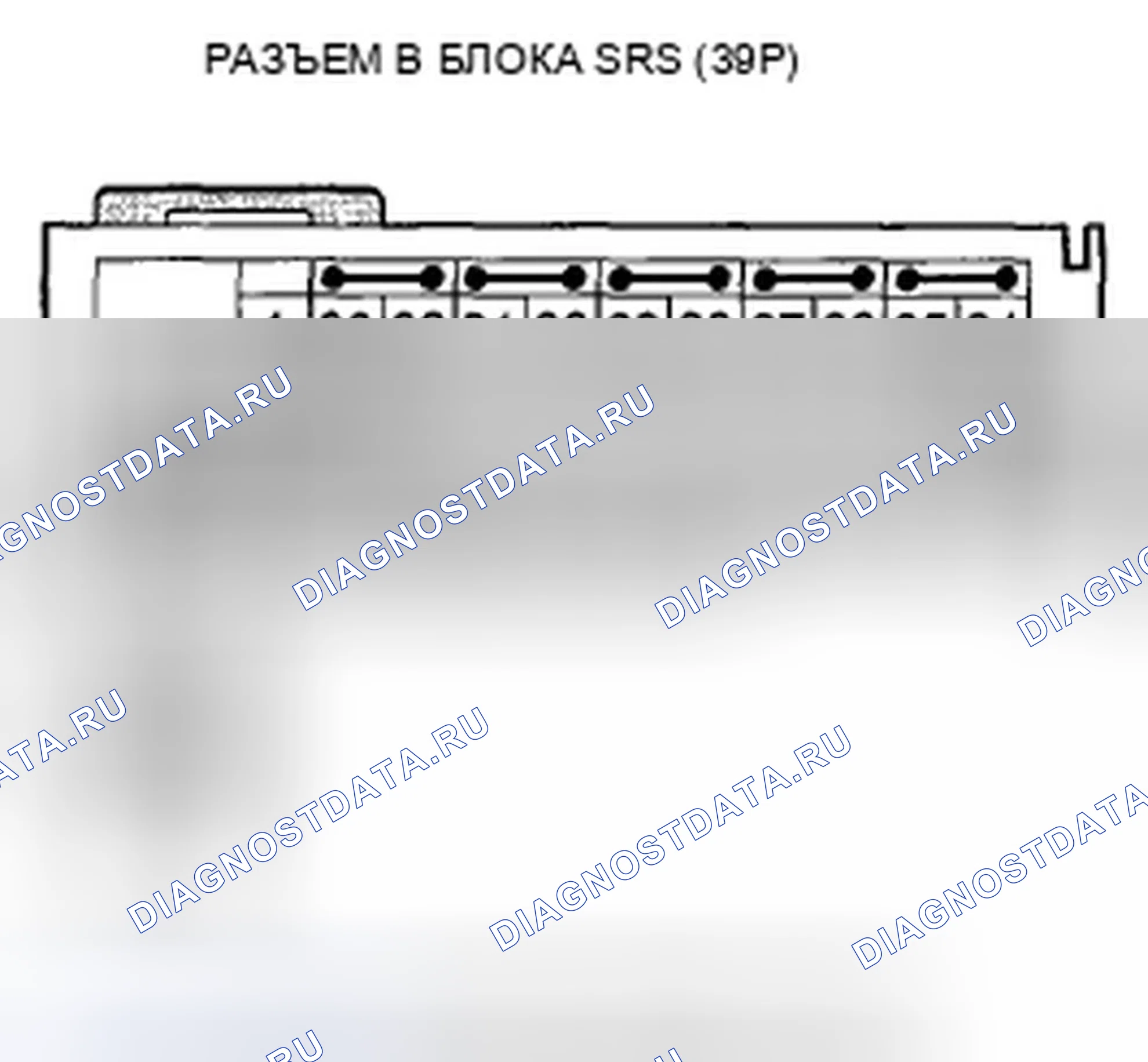 Рис. 481. Honda Crosstour I