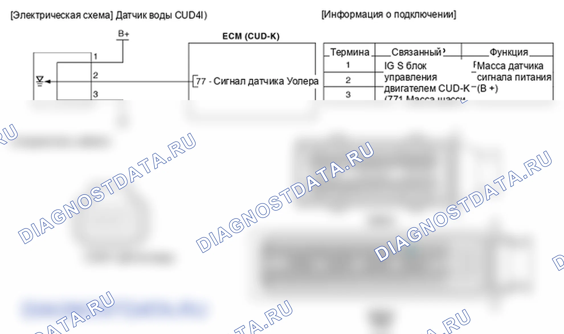 Фрагмент электросхемы: Датчик воды. Hyundai Elantra V рестайлинг
