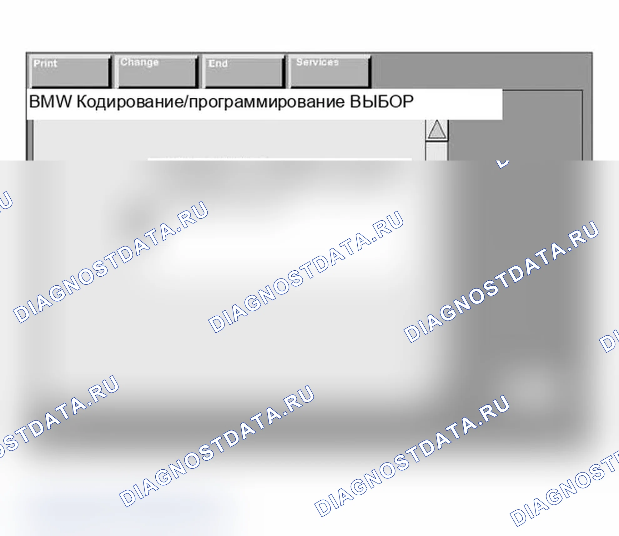 Рис. 180: Процедура принятия существующего кода варианта. BMW X3 E83